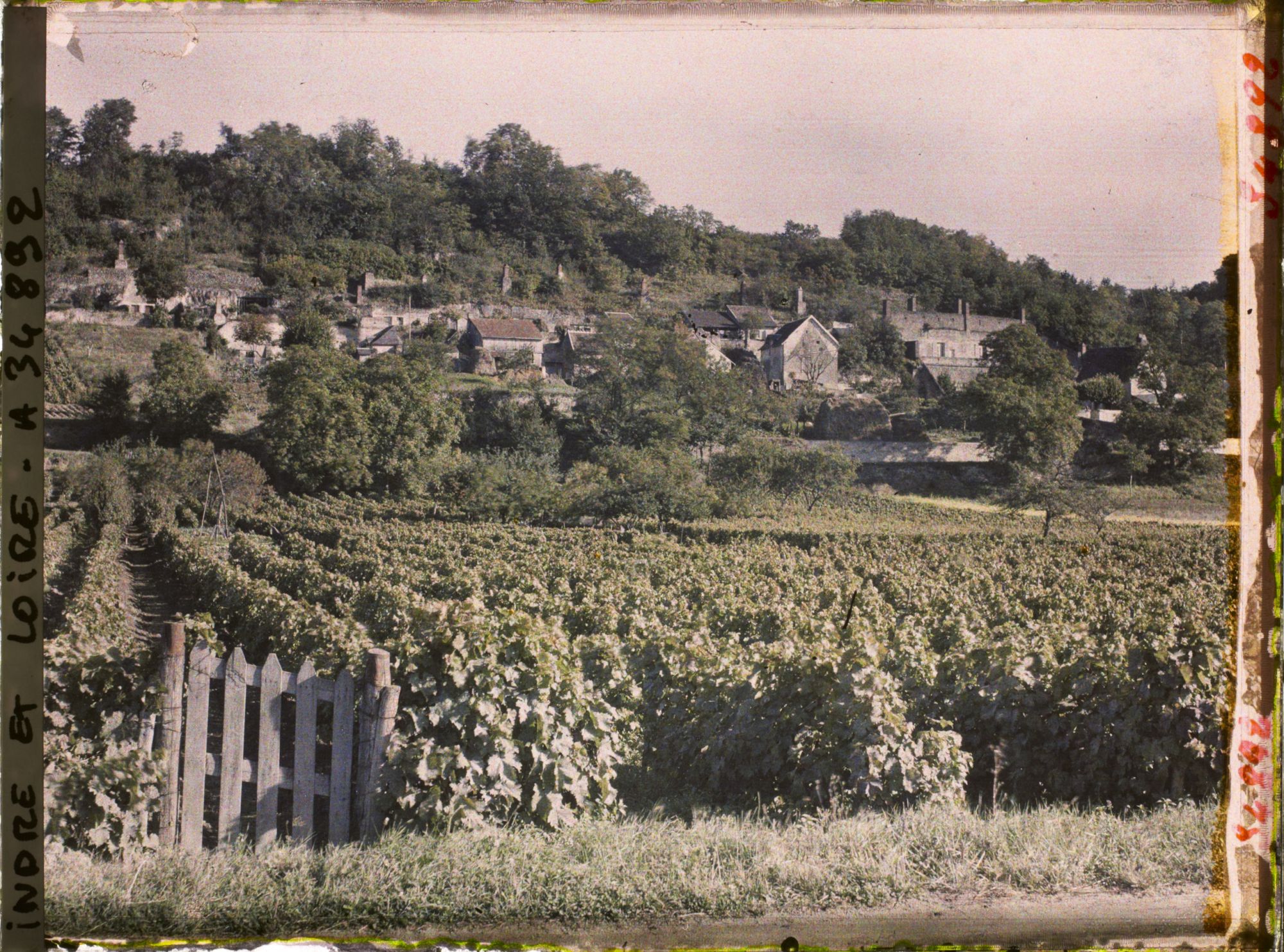 Image représentant Vignoble des coteaux de Vouvray