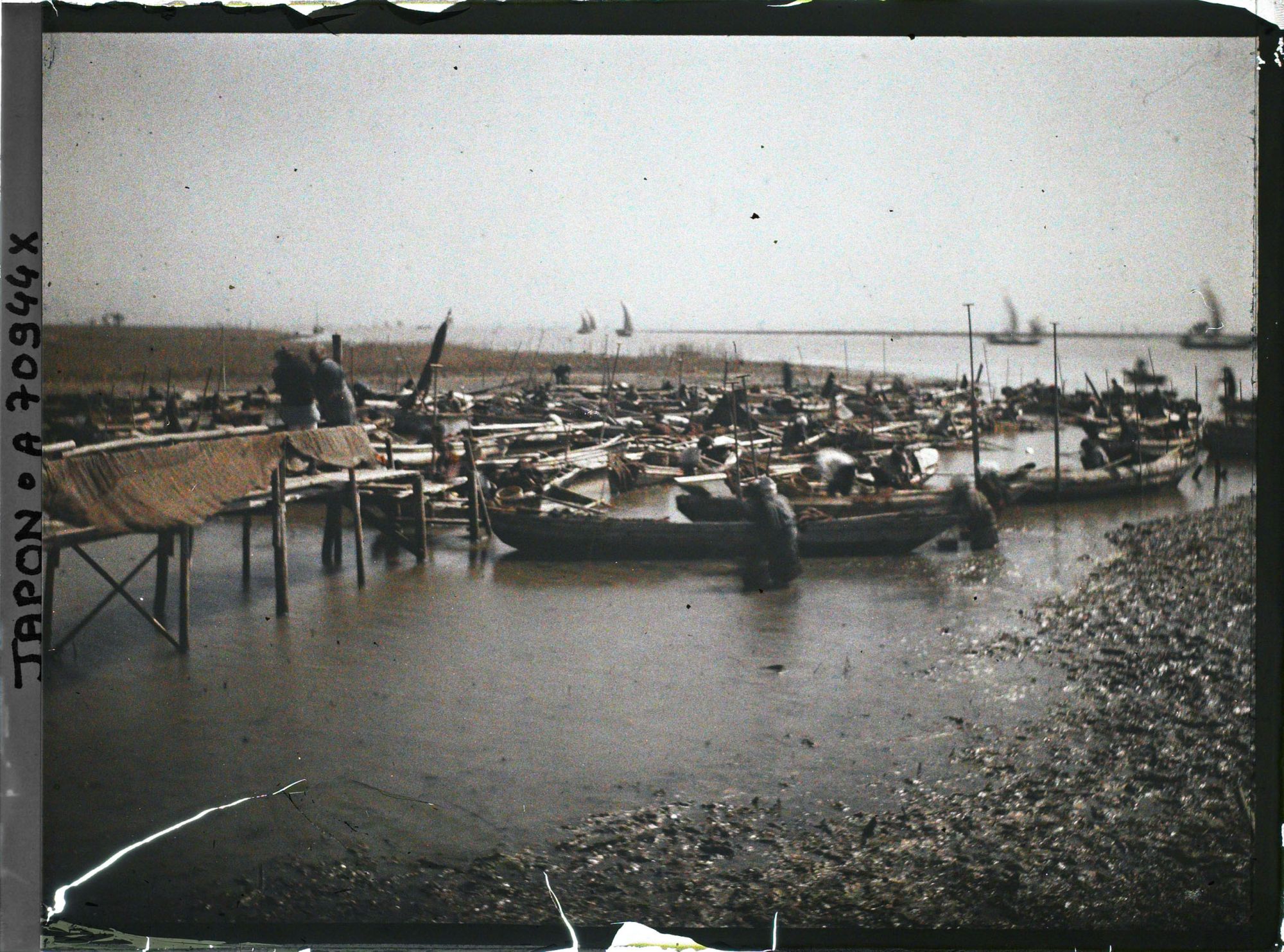 Image représentant Pêcheur