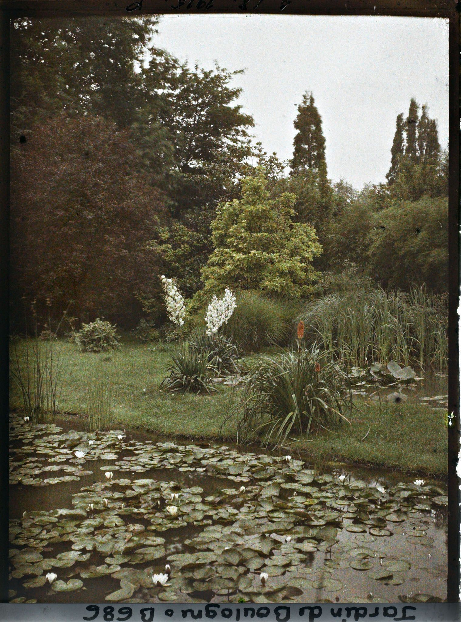 Image représentant Le Marais