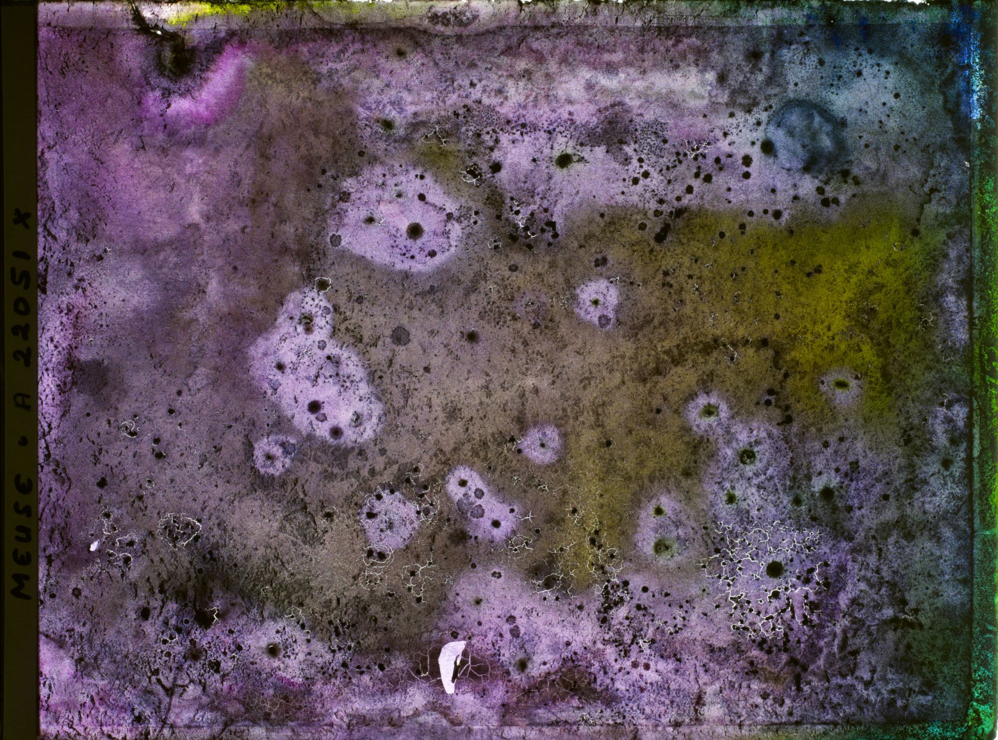Image représentant Image illisible, plaque endommagée par l'eau (altérations d'époque)