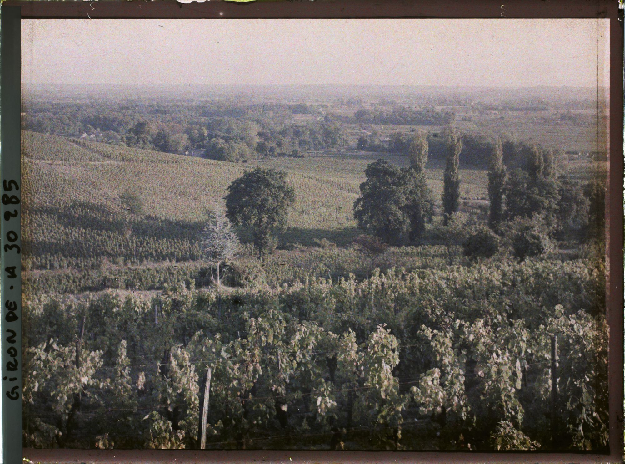 Image représentant France