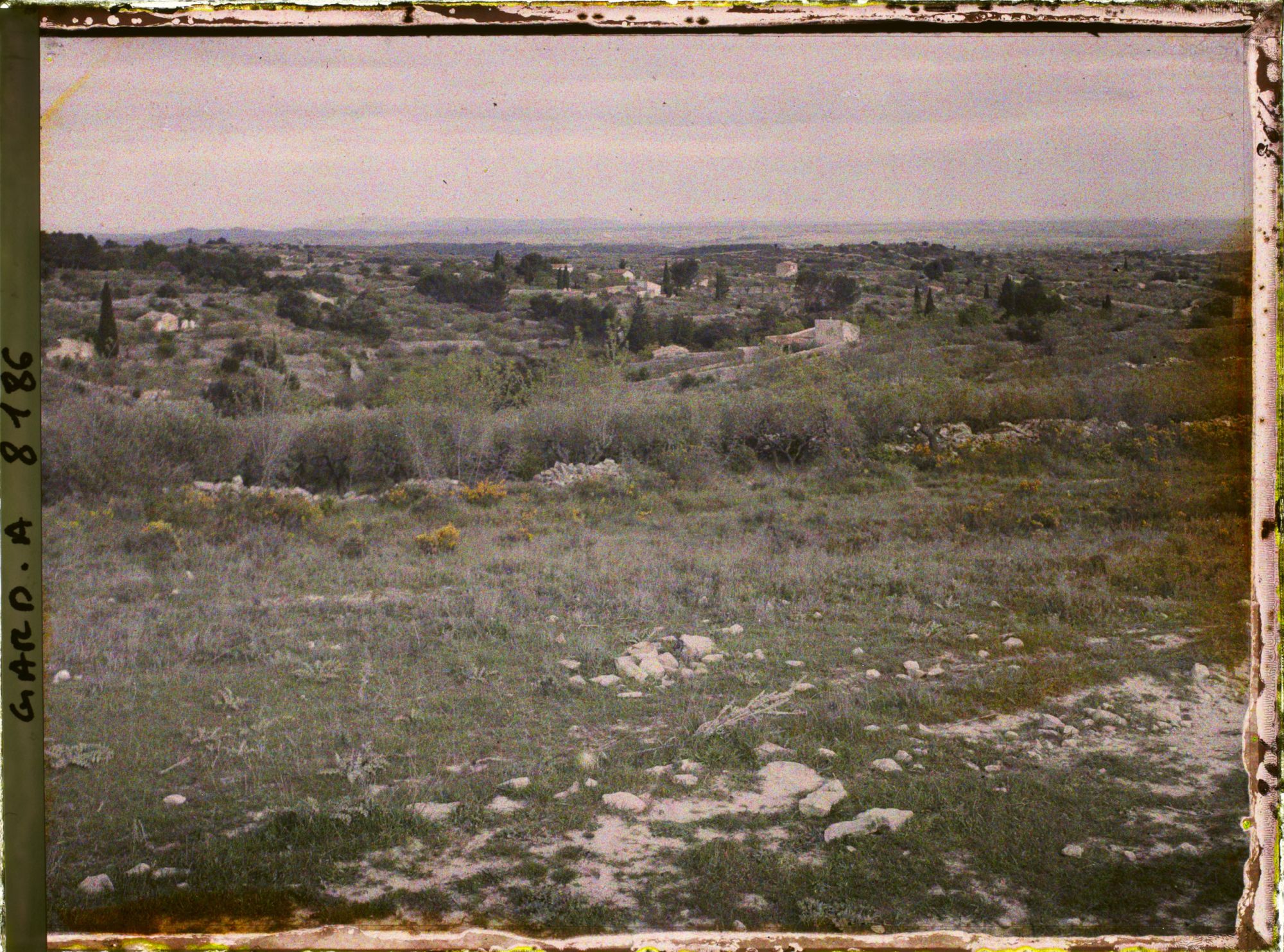 Image représentant La plaine de Nîmes