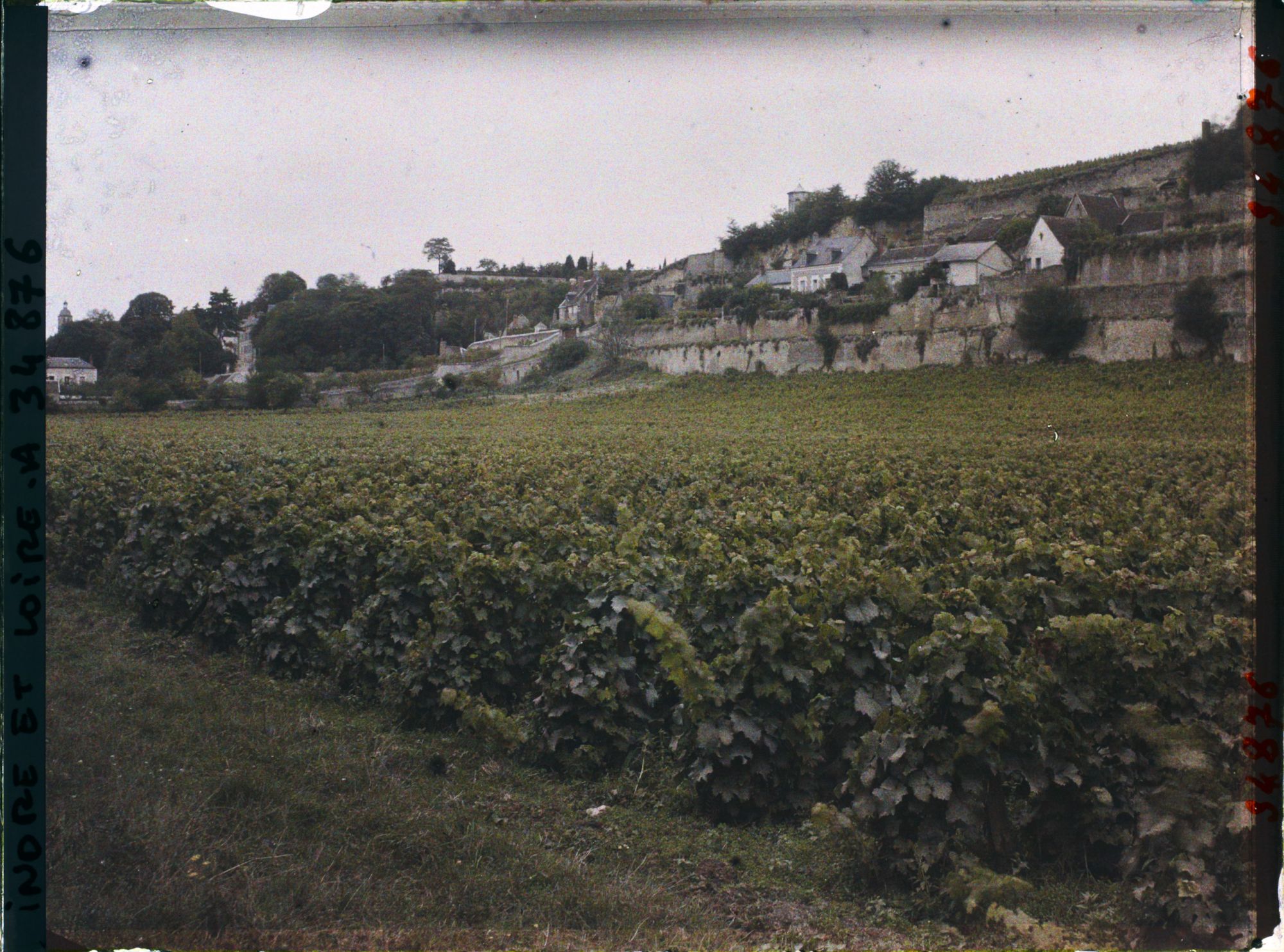 Image représentant Vignoble des coteaux de Vouvray