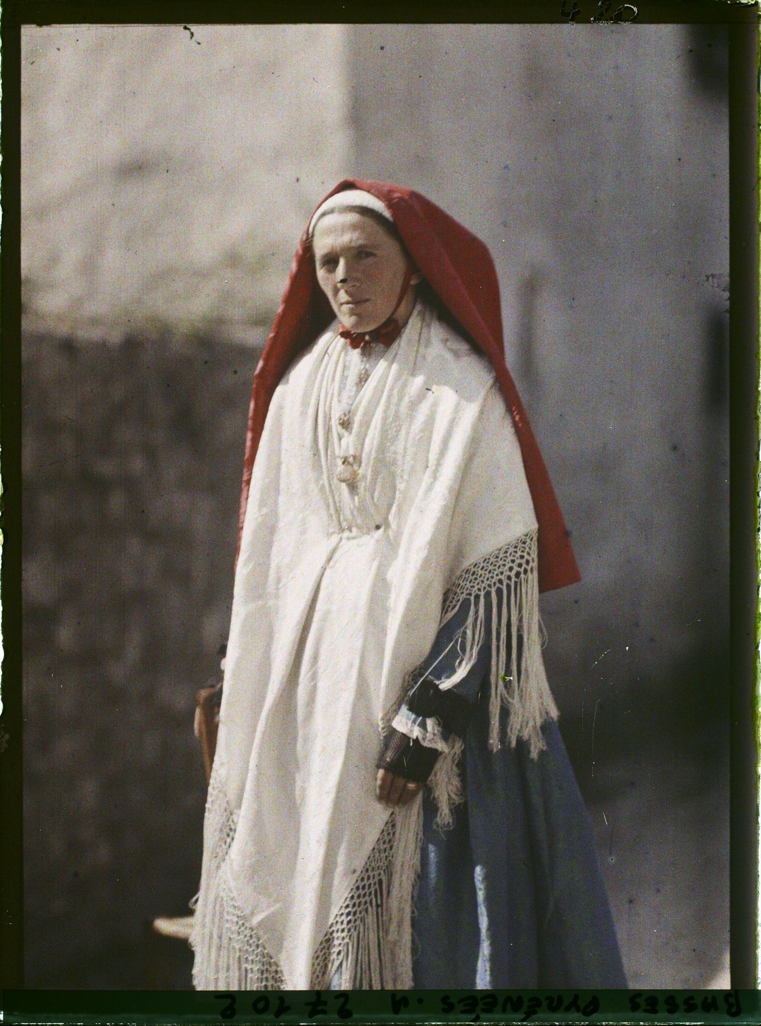 Image représentant France , Vallée D'Ossau, Ossaloise