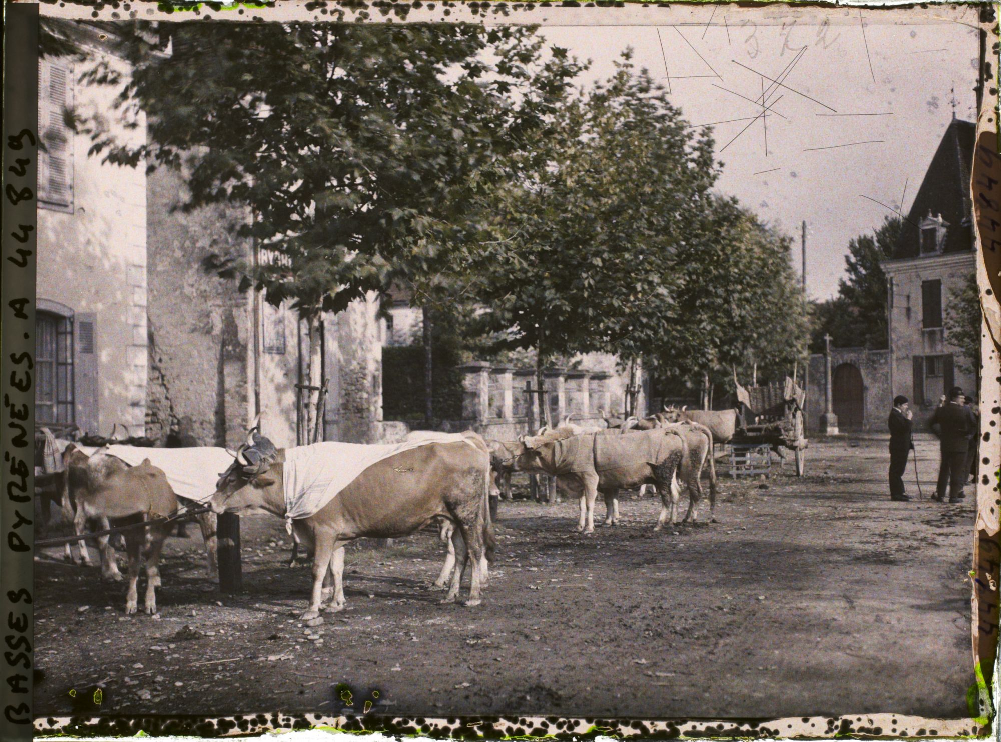 Image représentant France, Sauveterre de Béarn, Le Marché au bétail