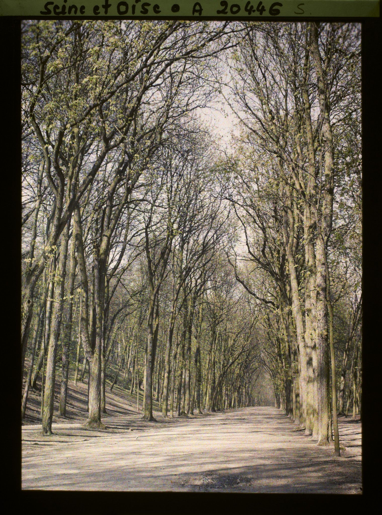 Image représentant Le parc, allée de Sèvres
