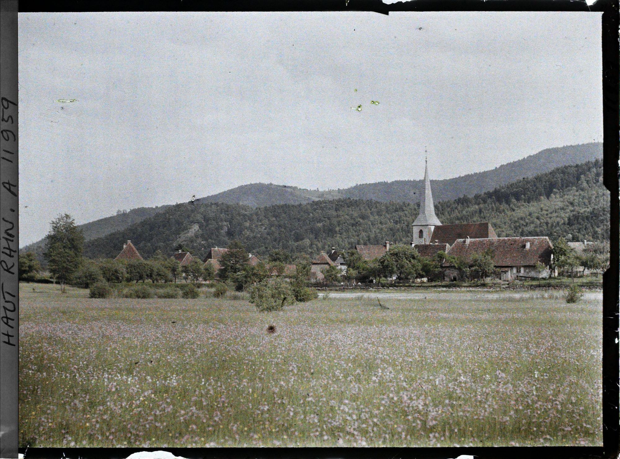 Image représentant Sewen