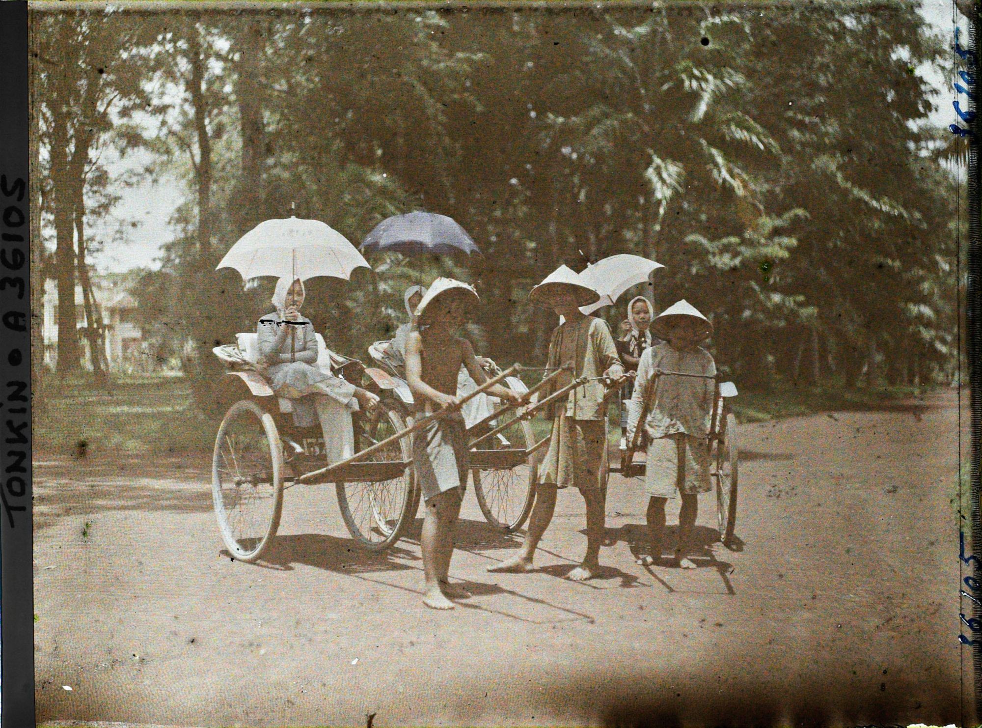 Image représentant Jeunes femmes en pousse-pousse à roues caoutchoutées, dans le jardin botanique
