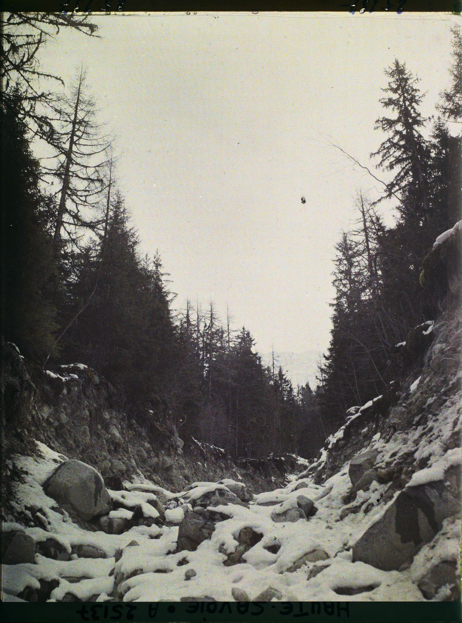 Image représentant France Les Alpes, Glacier des Bossons : Pentes de la Montagne ravagées par un torrent en juin 1920