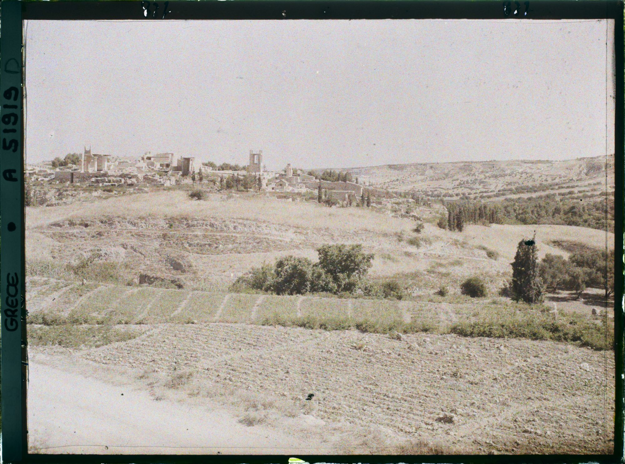 Image représentant Panorama vers l'ensemble des ruines du Palais