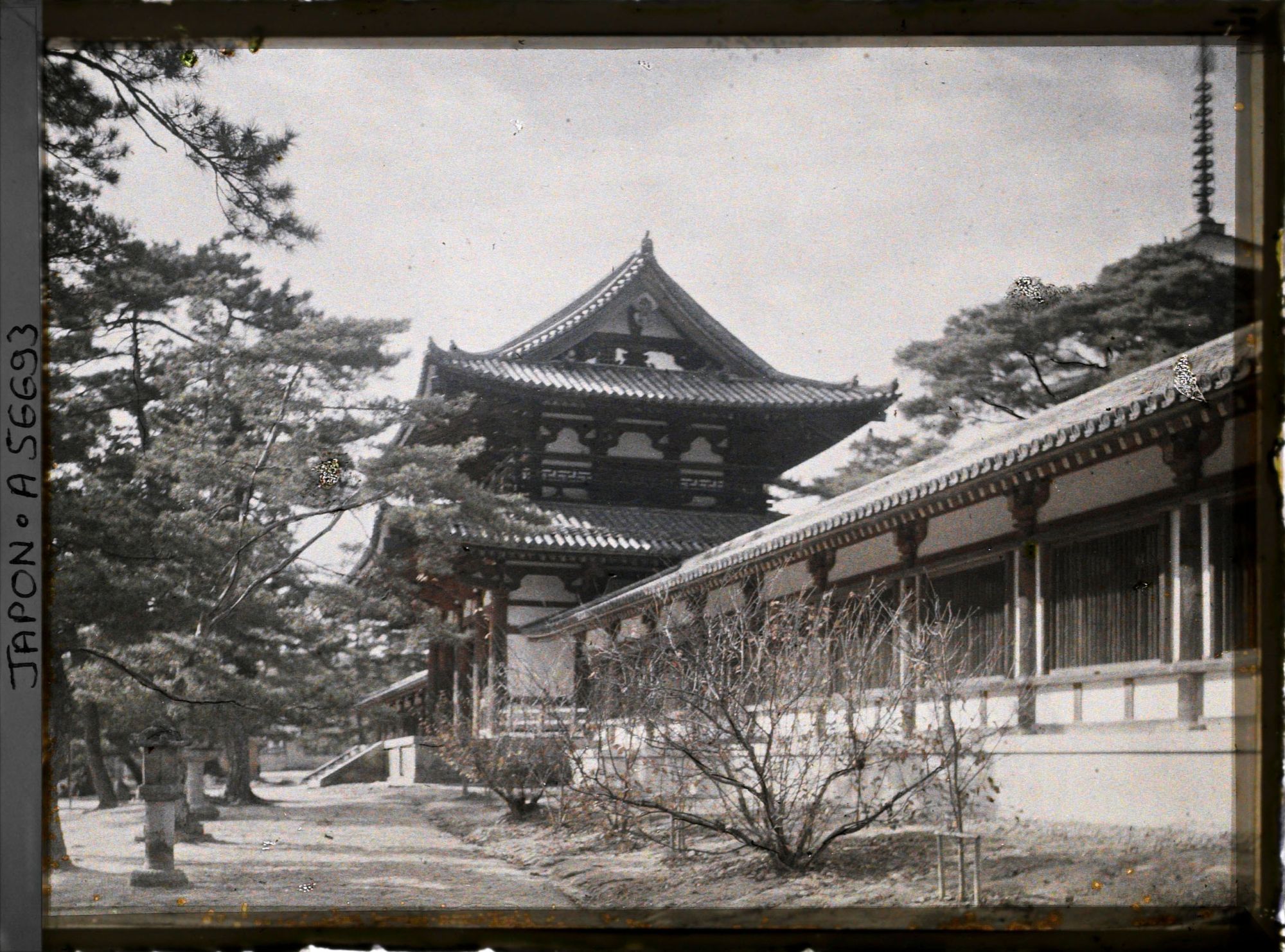 Image représentant Temple Hôryû-ji : le Kairô (corridor formant l'enceinte) et la Chûmon (Porte du Milieu)