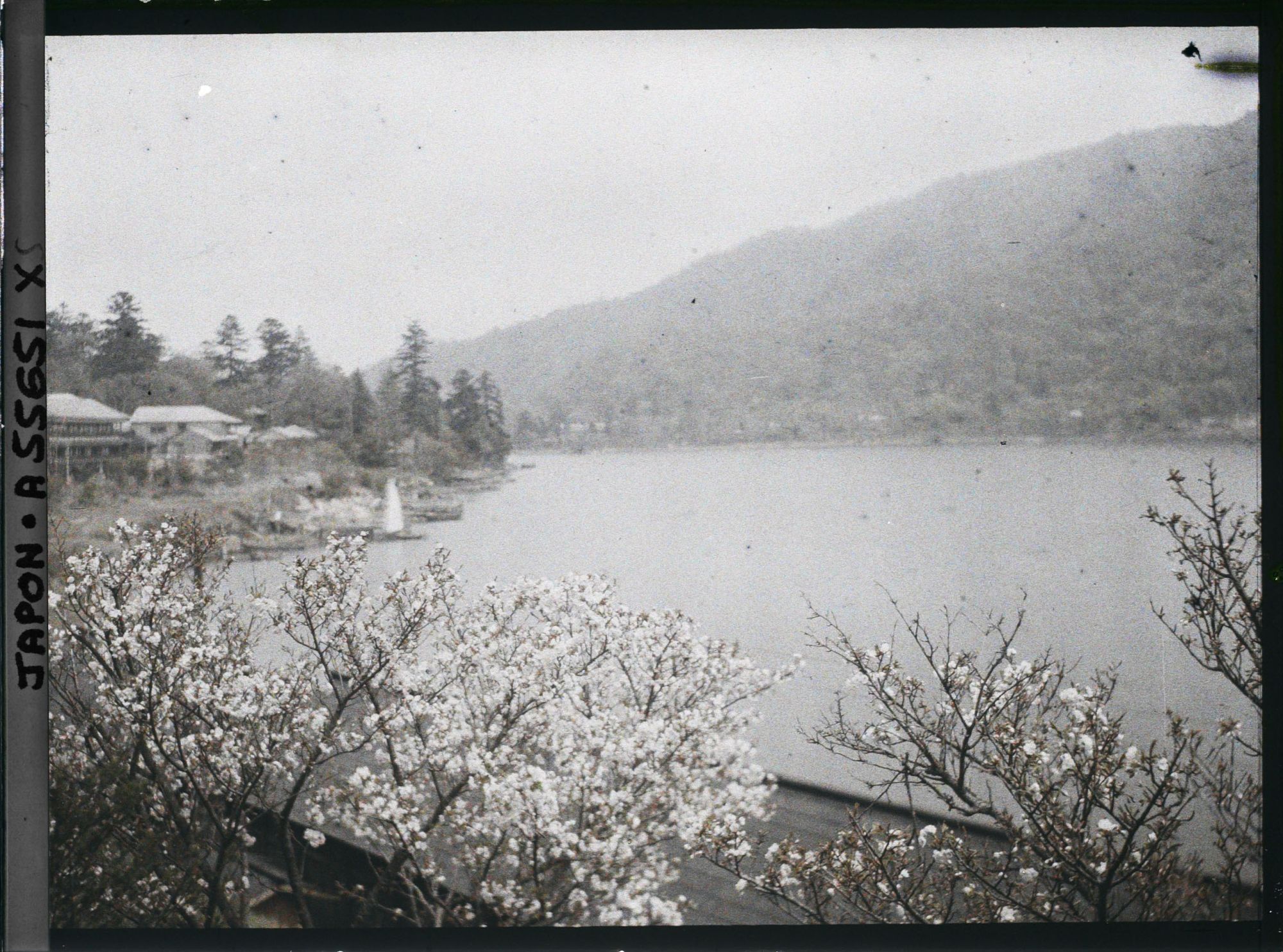 Image représentant Les bords du lac Chuzenji