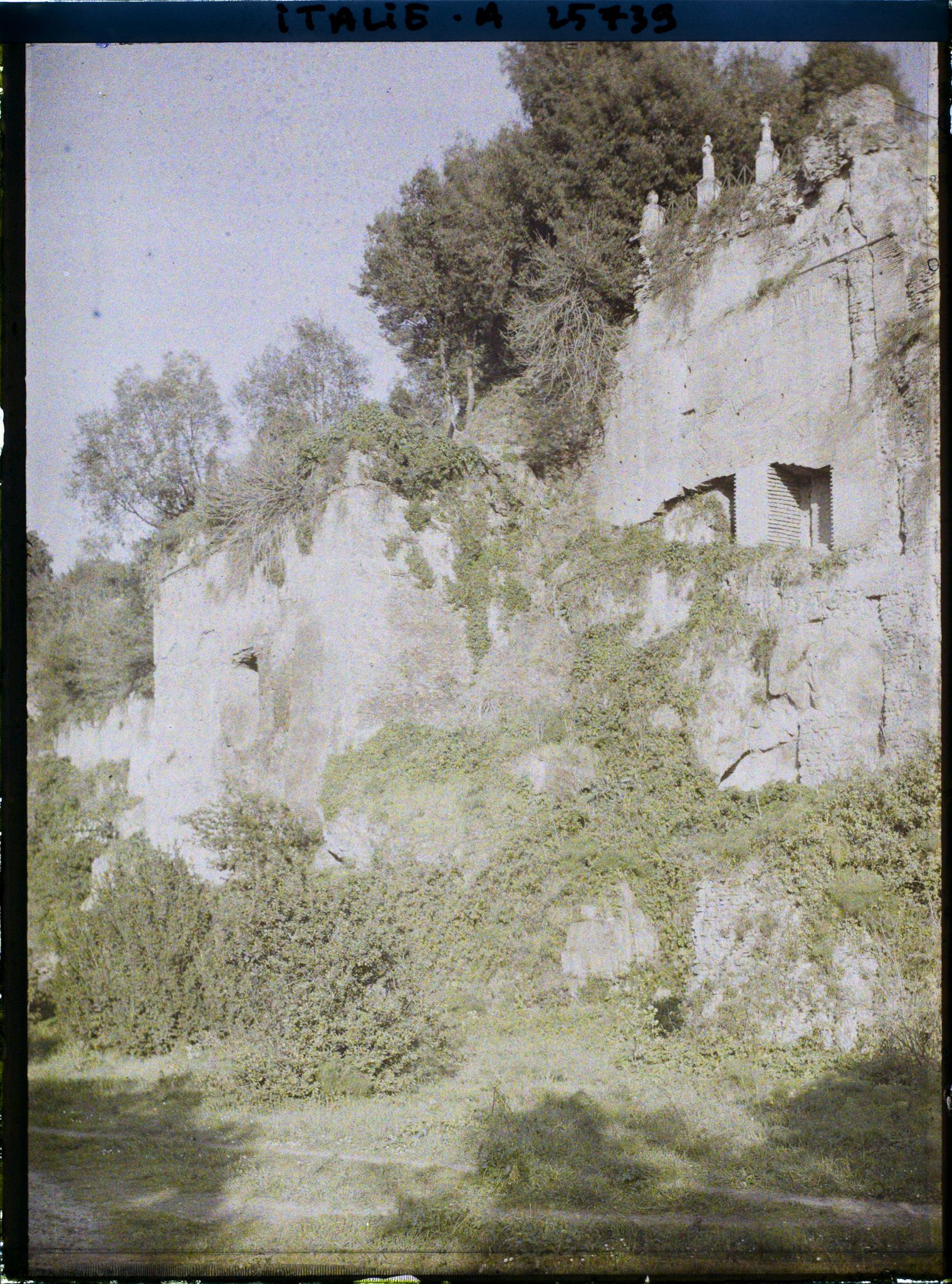 Image représentant Murs du Palatin