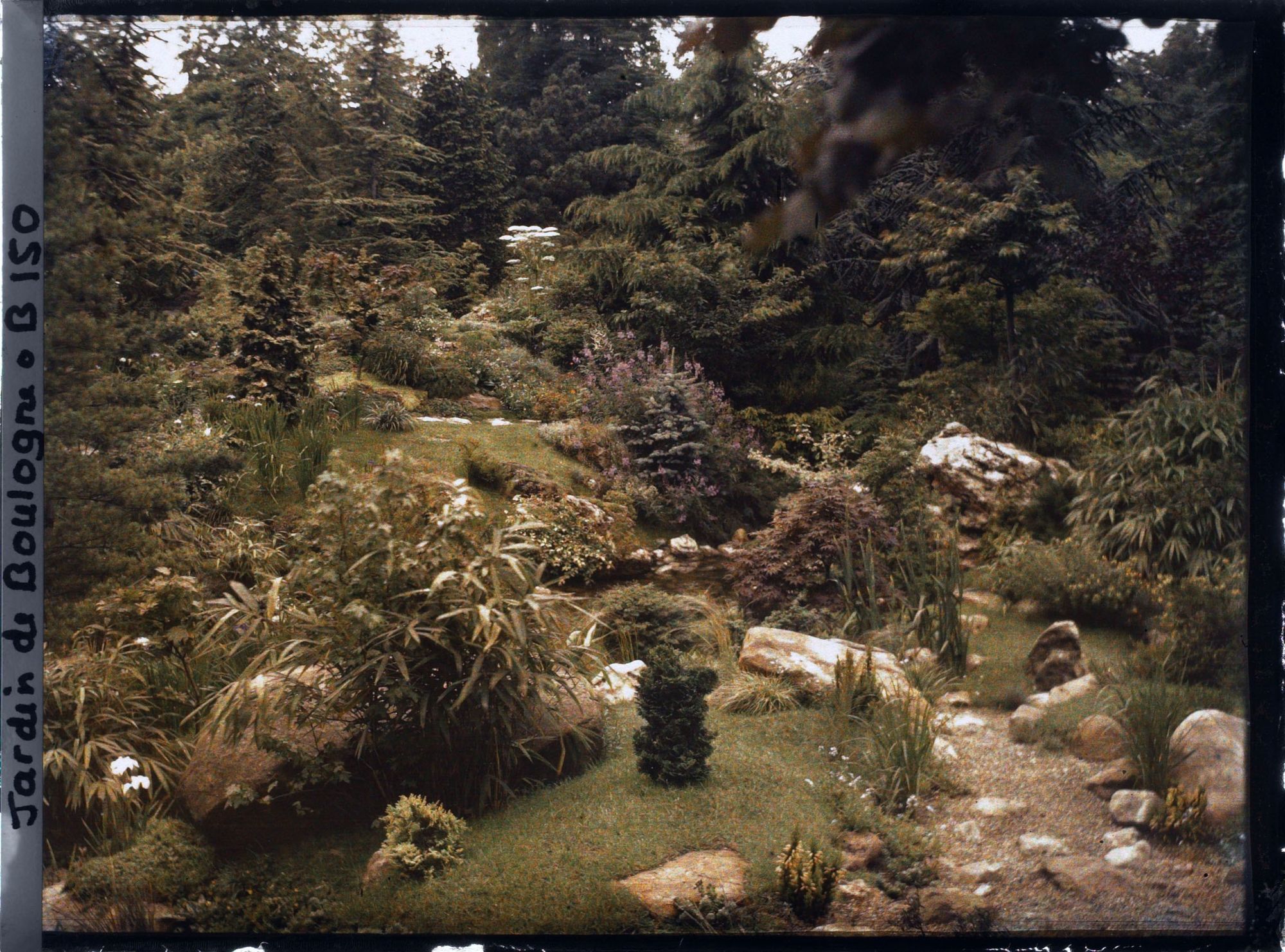 Image représentant Paysage arboré du " sanctuaire japonais " sur les rives d'un cours d'eau
