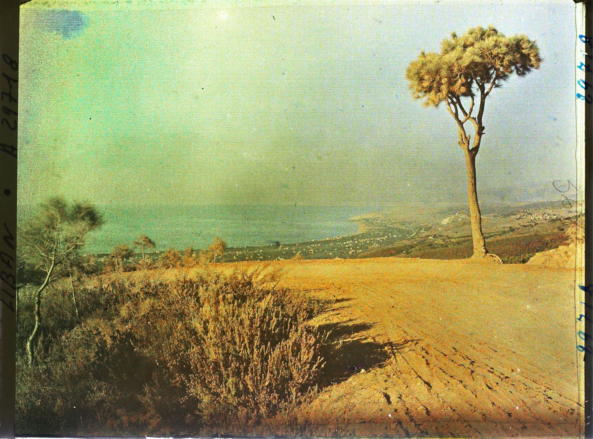 Image représentant Vue sur la baie de Beyrouth en direction du nord