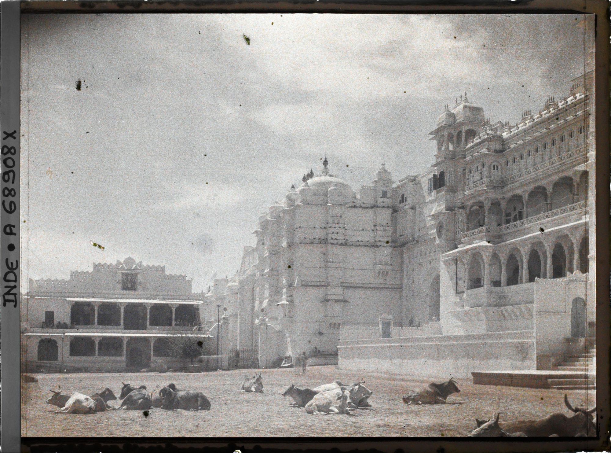 Image représentant L'esplanade (Manek Chowk) devant les palais des maharanas du Mewar, occupée par des vaches sacrées