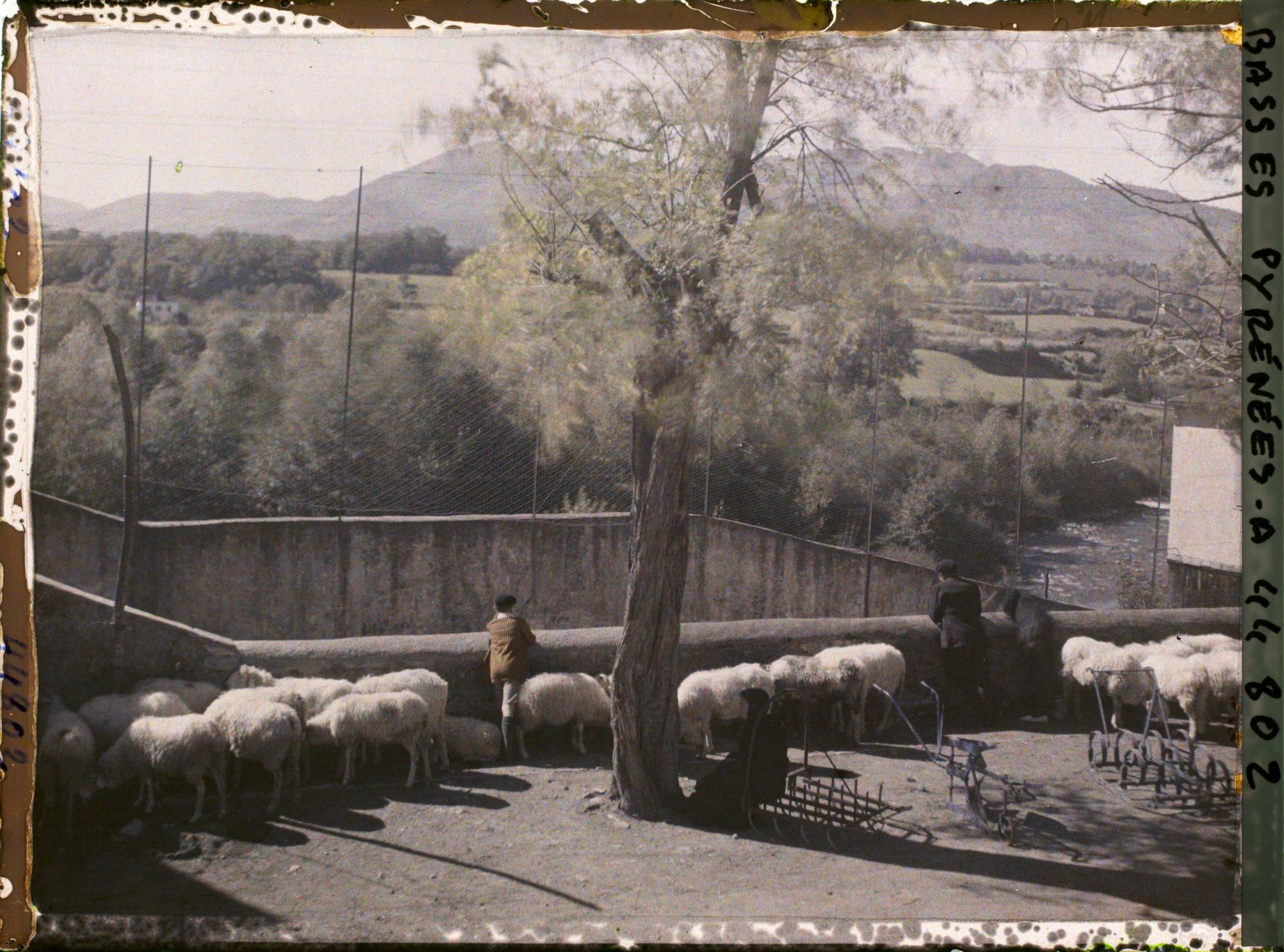 Image représentant France , Tardets, Le marché aux Bestiaux