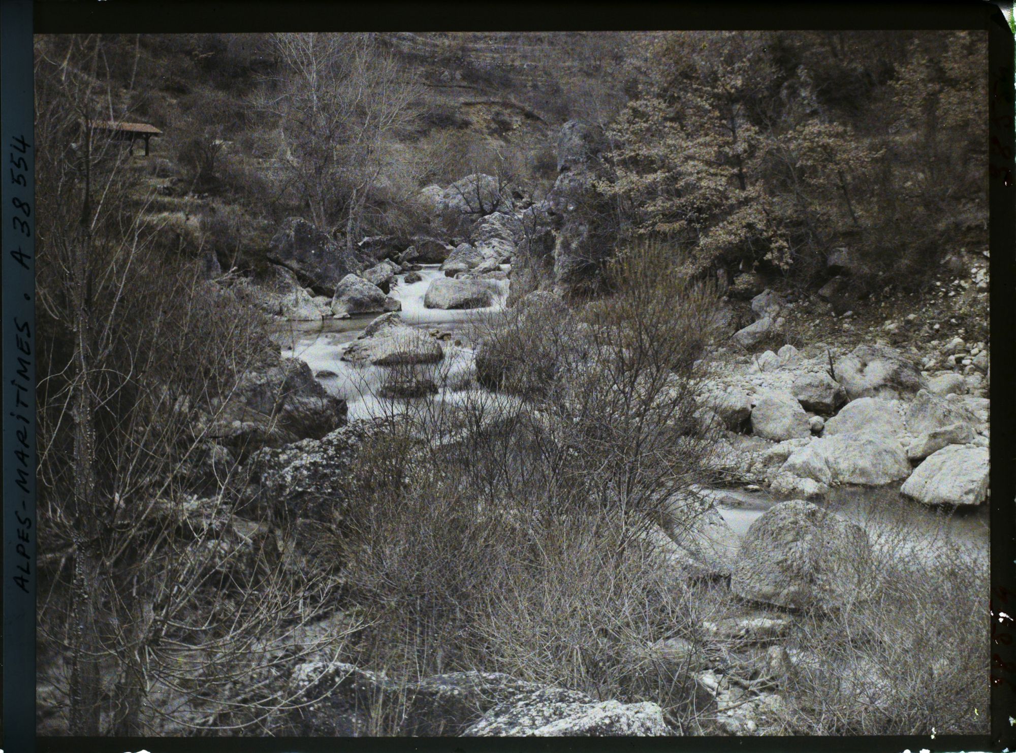 Image représentant Les bords du Loup