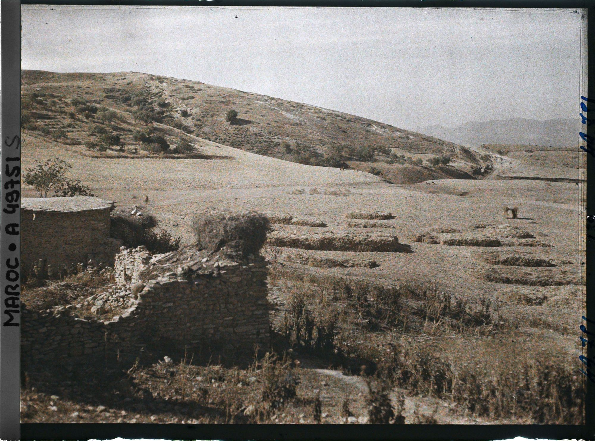 Image représentant Un coin du village, à gauche un nid à cigognes