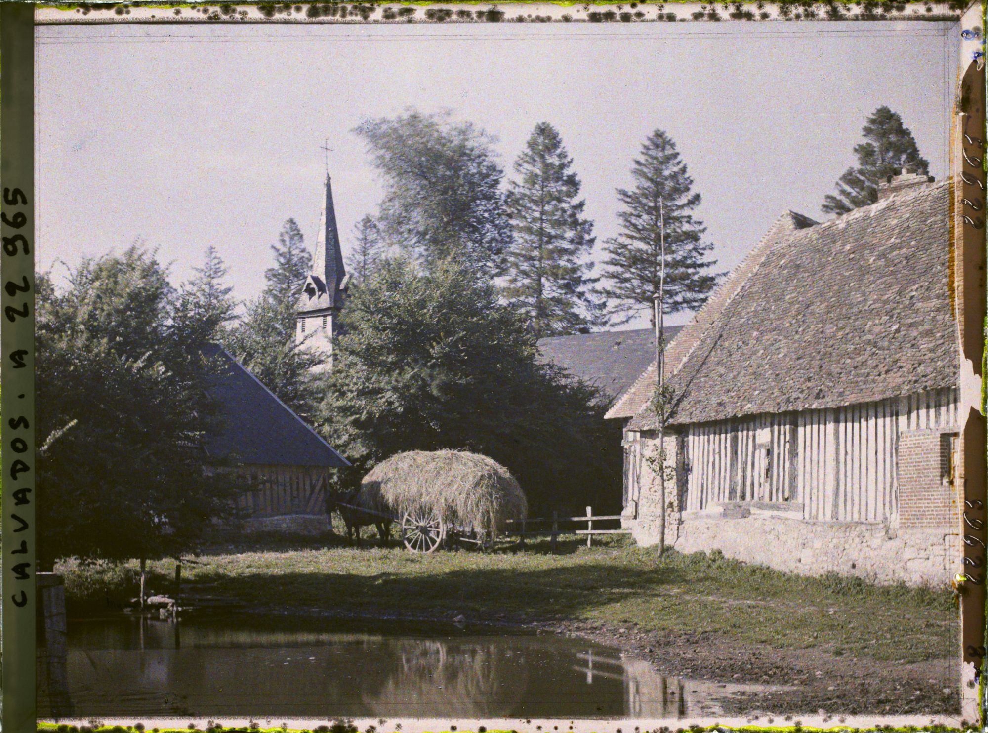 Image représentant L'église et la mare et l'arrière du manoir des Evêques de Lisieux