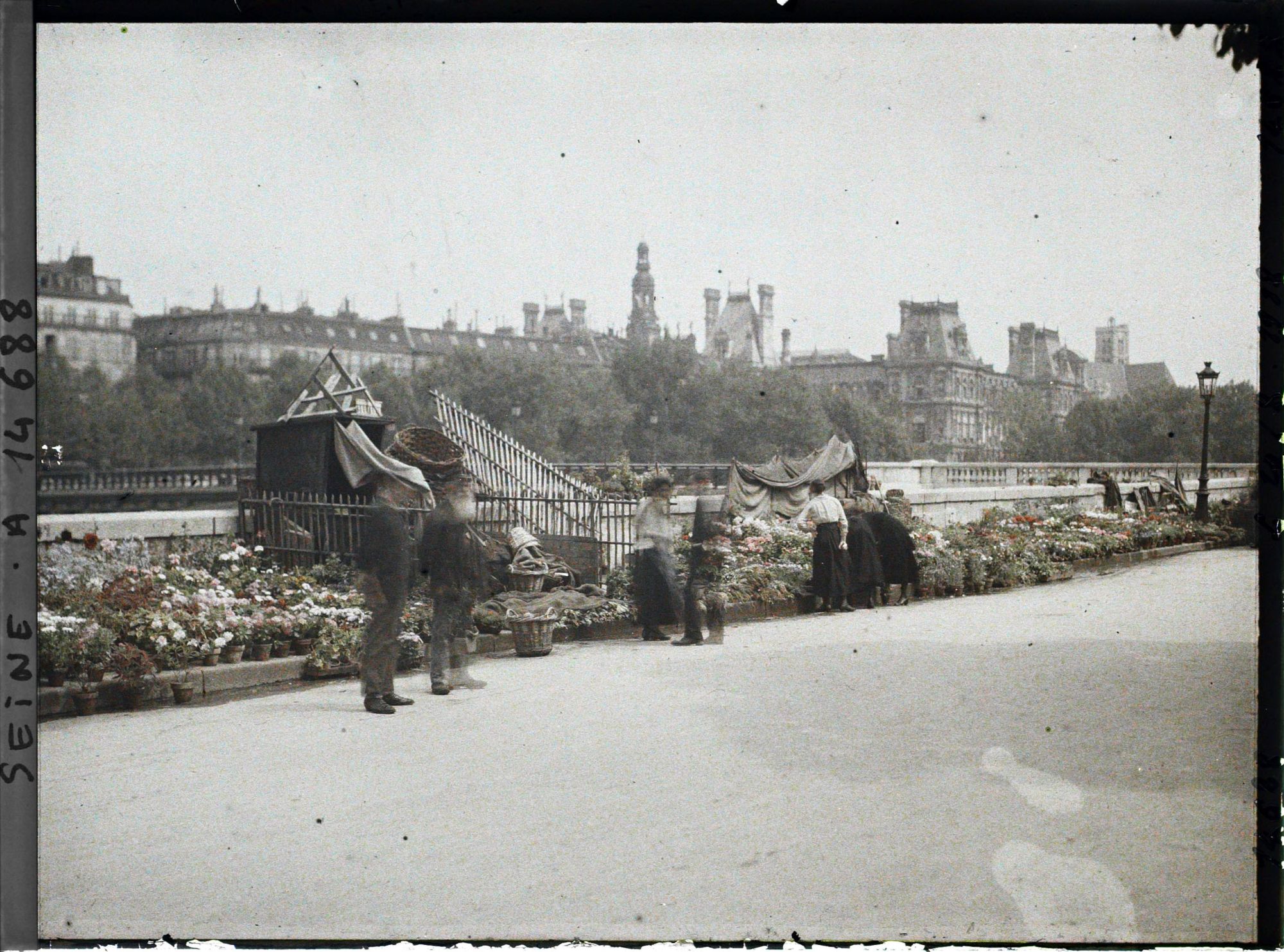 Image représentant Le marché aux fleurs de la place Louis-Lépine sur l'île de la Cité, quai de la Corse