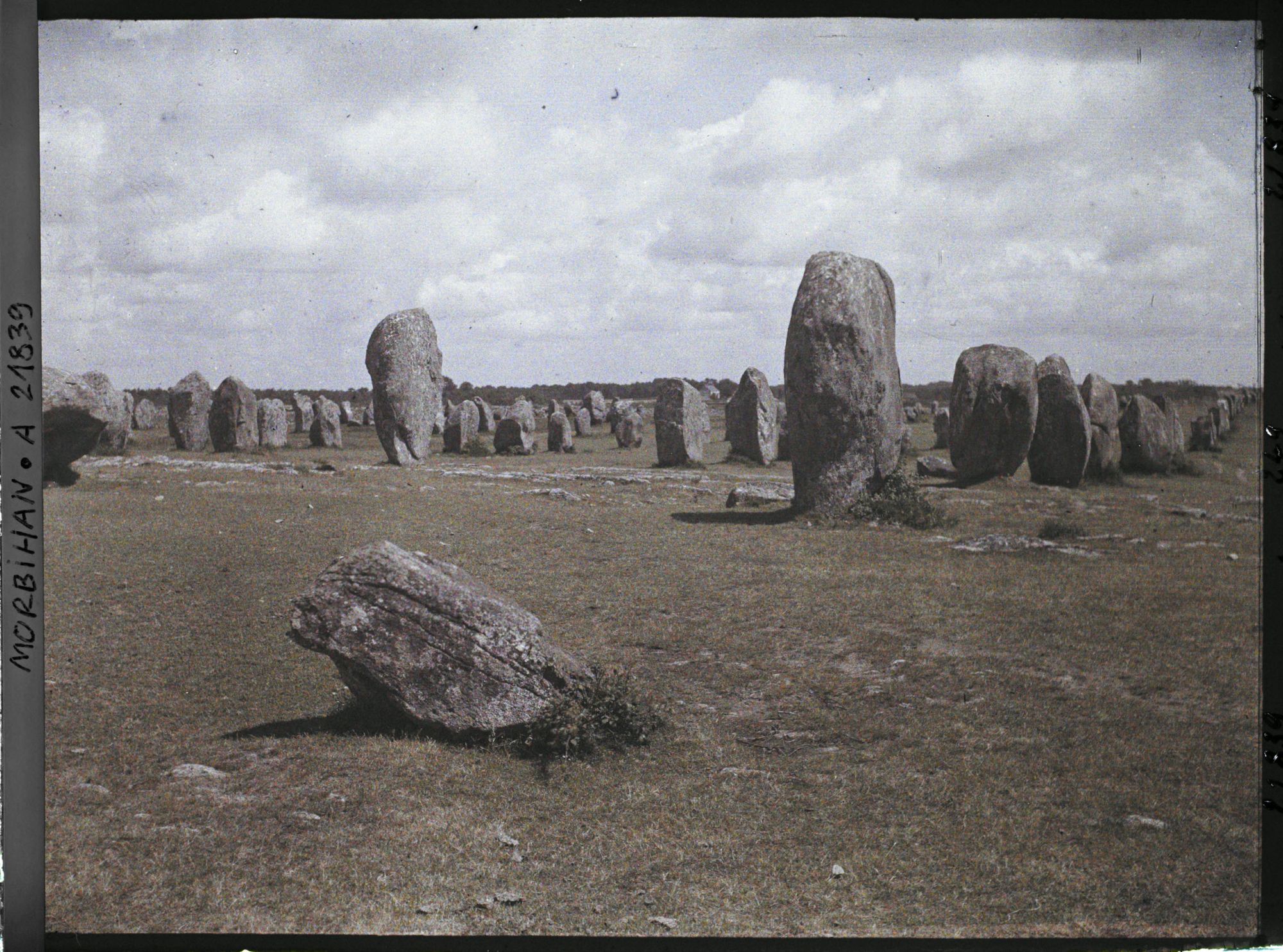 Image représentant Alignements de menhirs