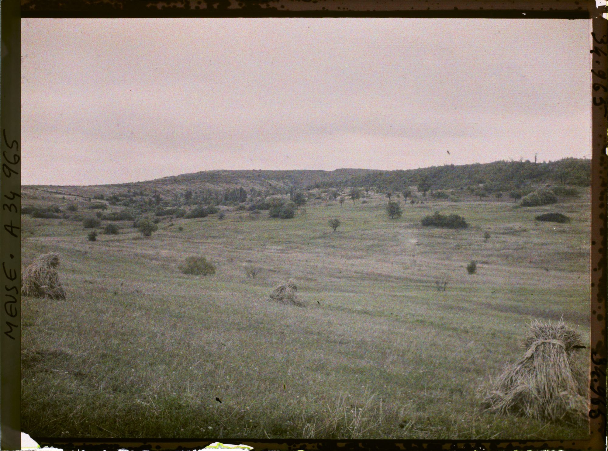Image représentant France, Buzemant, Sectr le Vauquois, Crête Buzemant