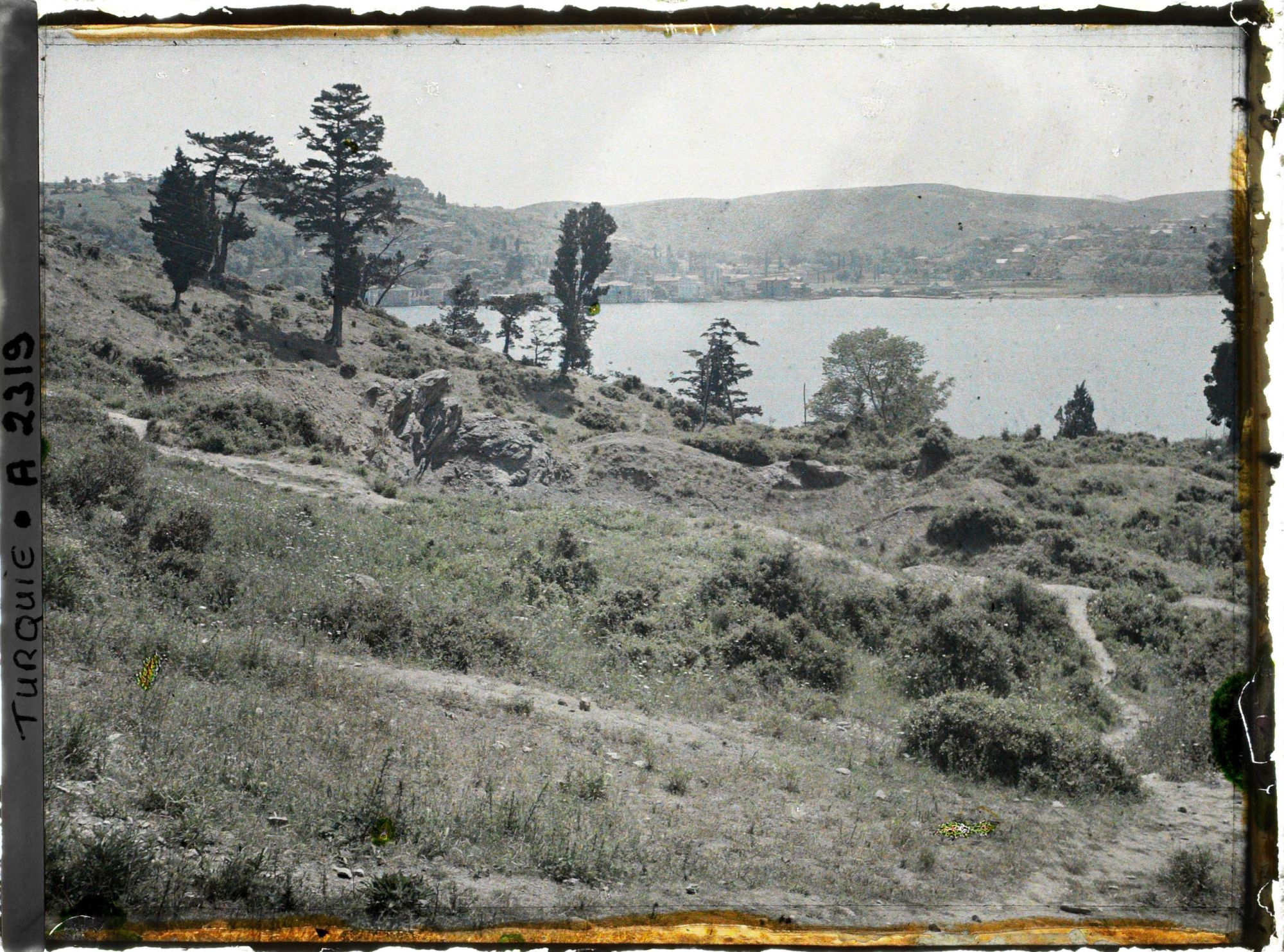 Image représentant Les rives du Bosphore