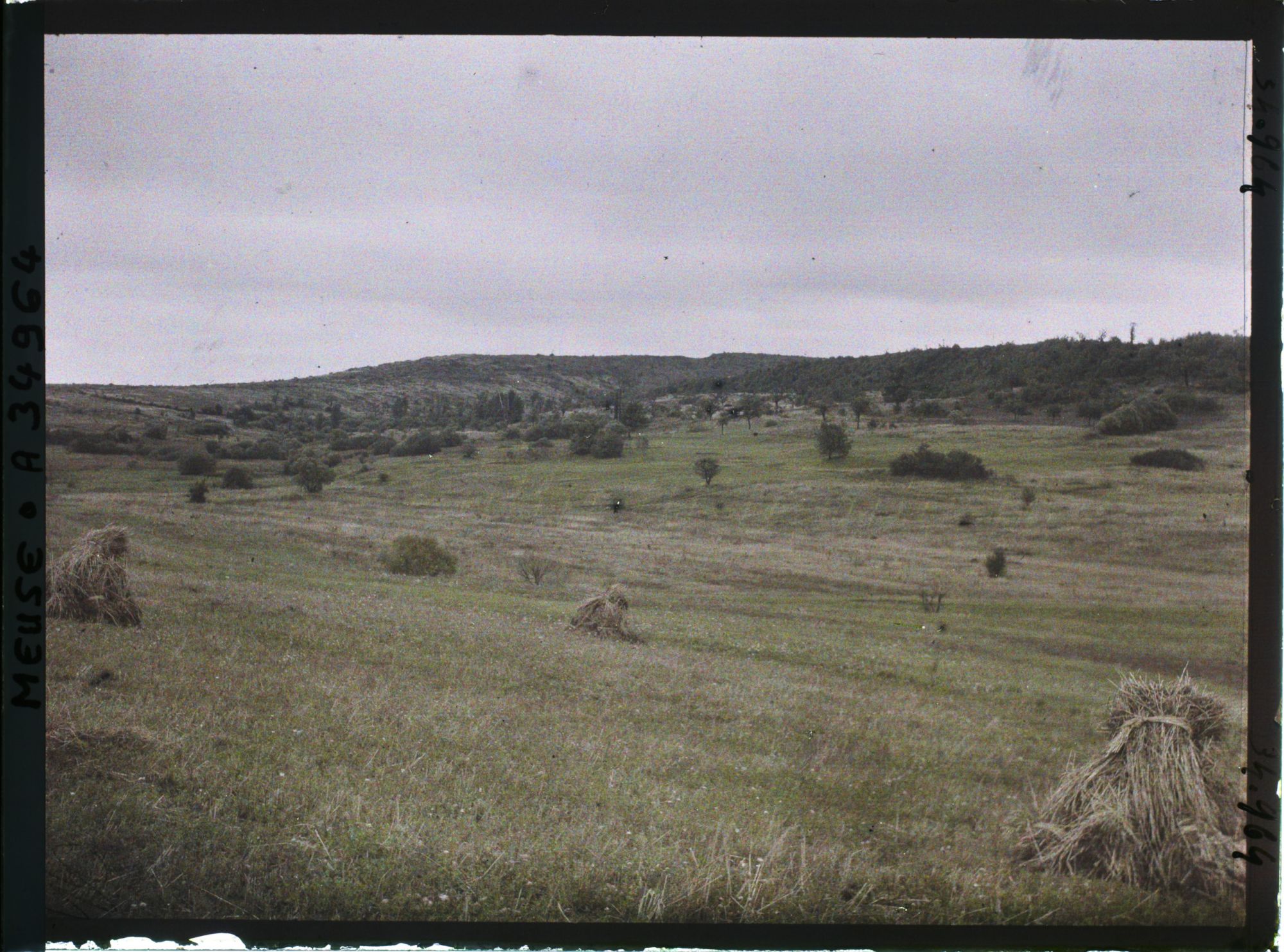 Image représentant France, Buzemant, Sectr le Vauquois, Crête Buzemant