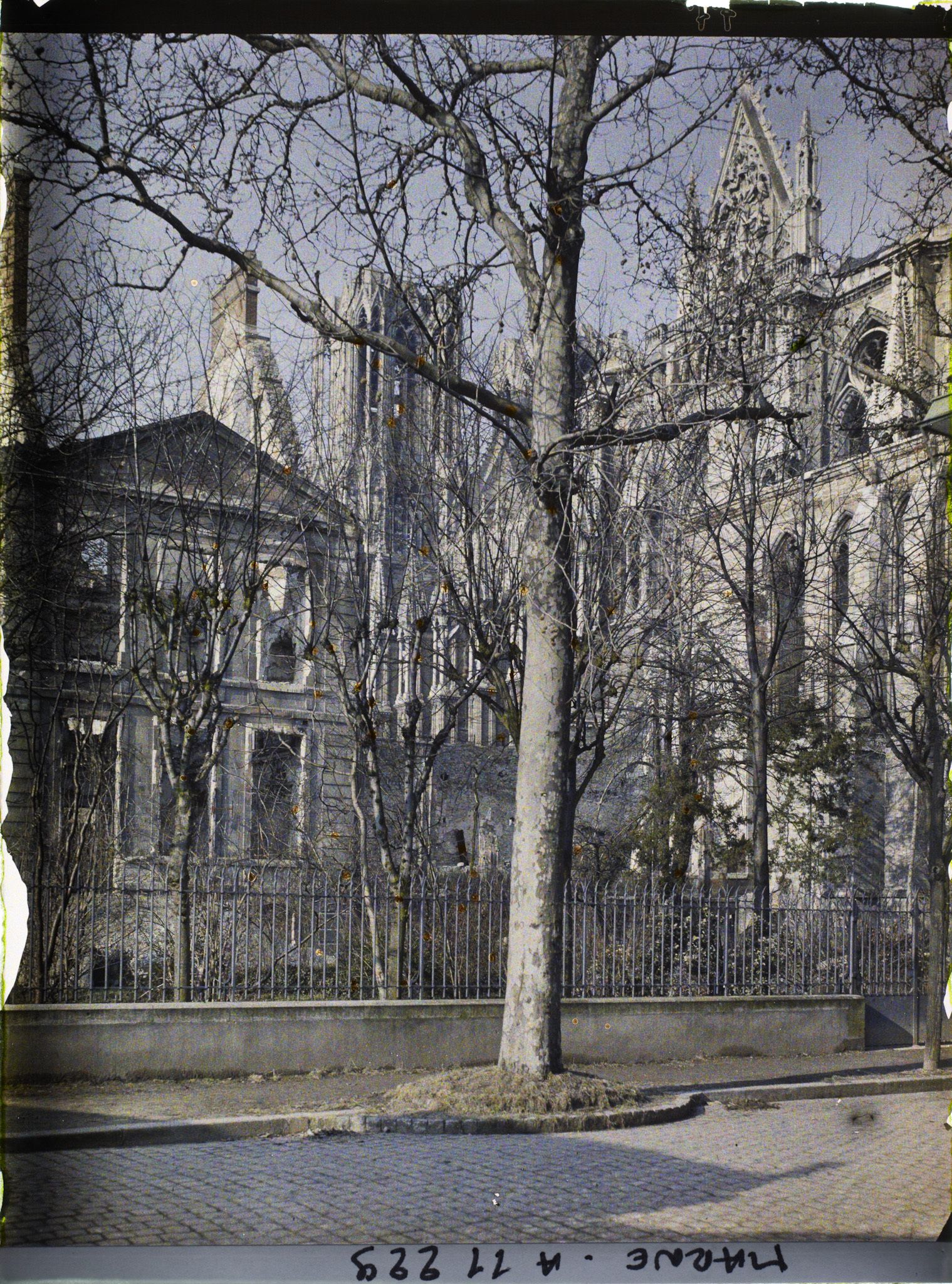 Image représentant Les ruines du palais du Tau et le chevet de la cathédrale