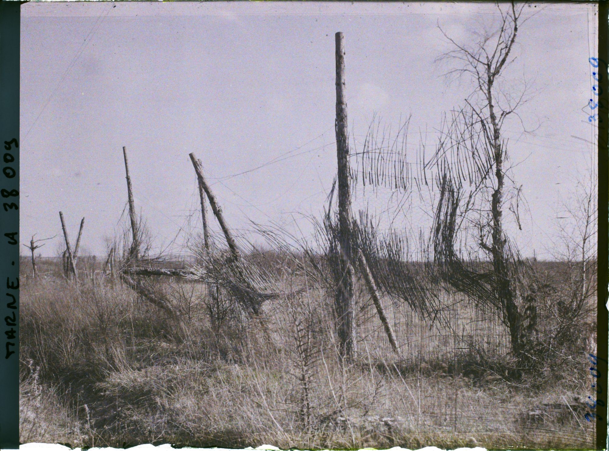 Image représentant France, Nauroy, Vestiges de Camouflage de la route entre Beine et Nauroy