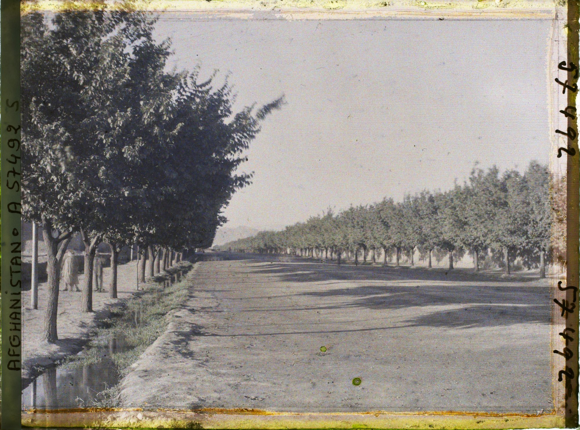 Image représentant L'avenue conduisant à l'aérodrome