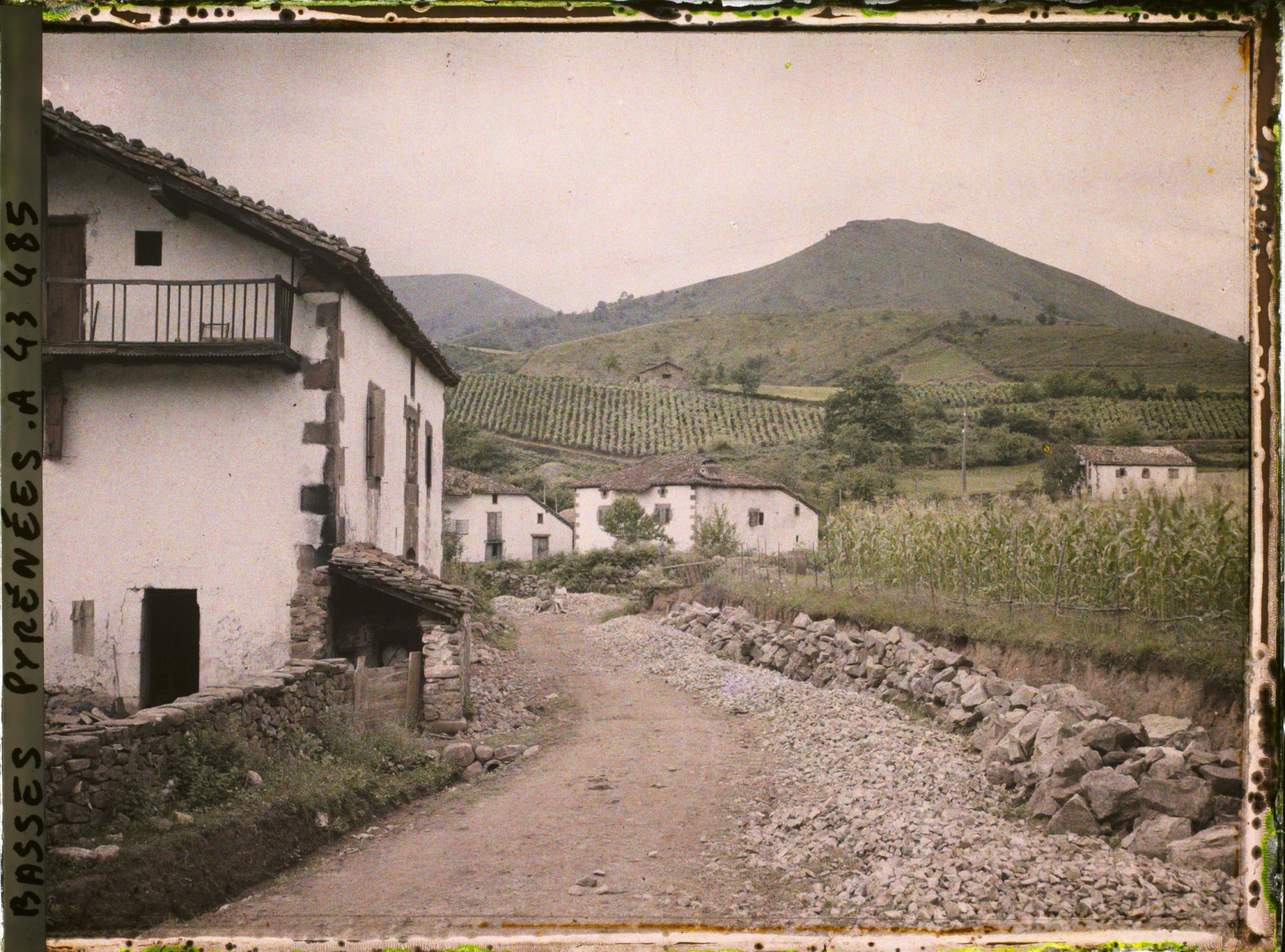 Image représentant France, Bidarray, Fermes dans la Vallée de la Nive
