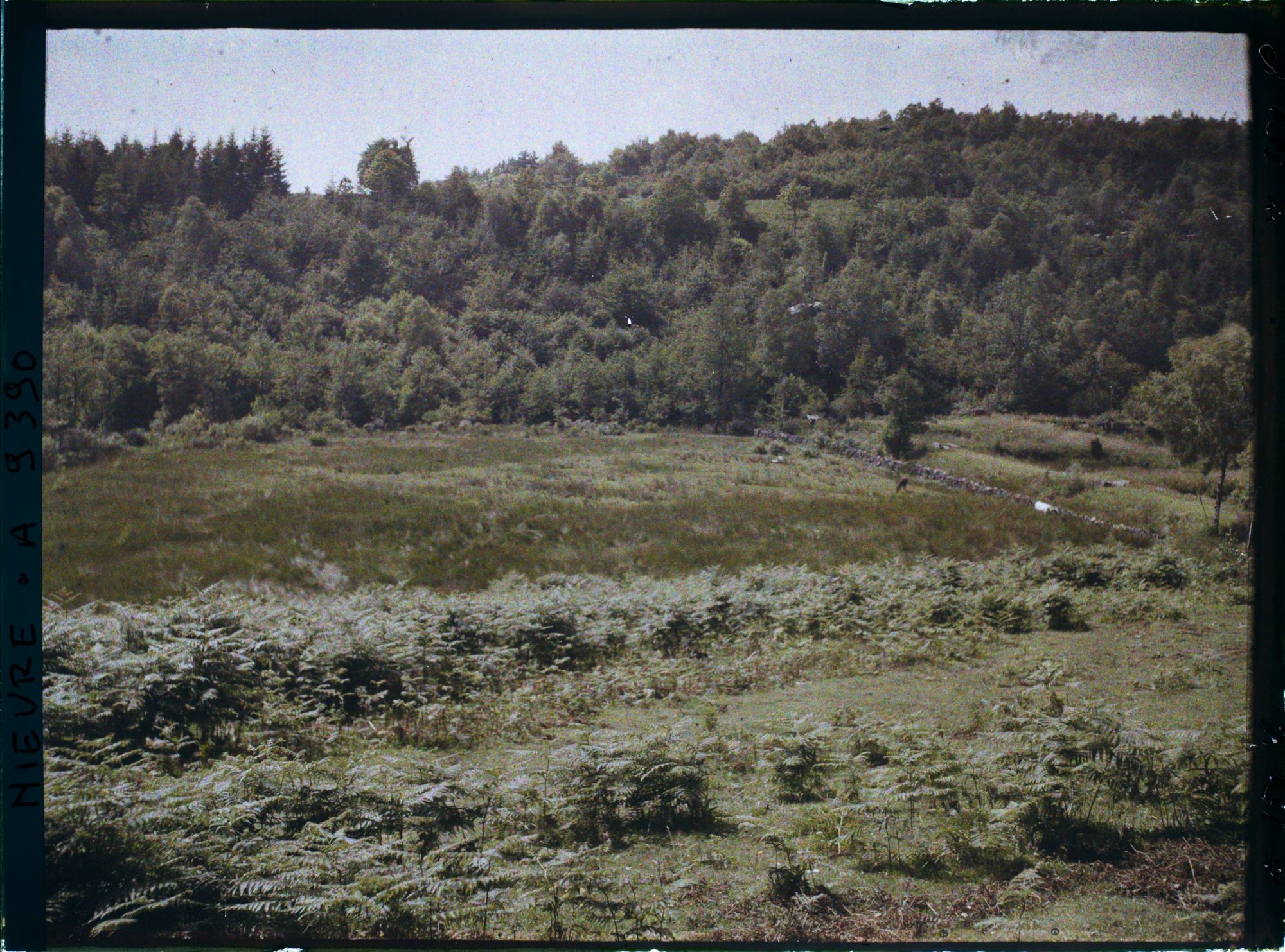 Image représentant En aval du barrage des Settons