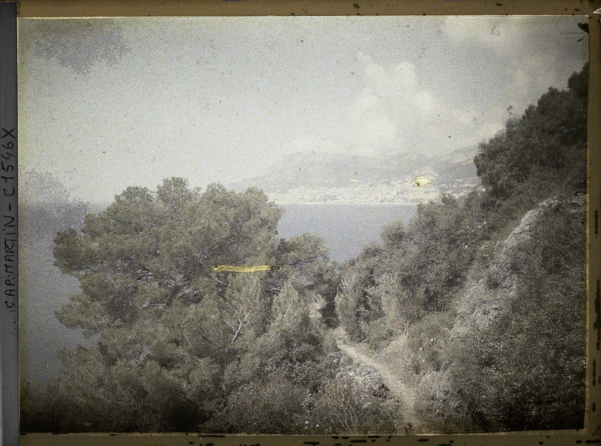 Image représentant Face à Monaco, chemin du jardin descendant vers la mer à travers la végétation spontanée