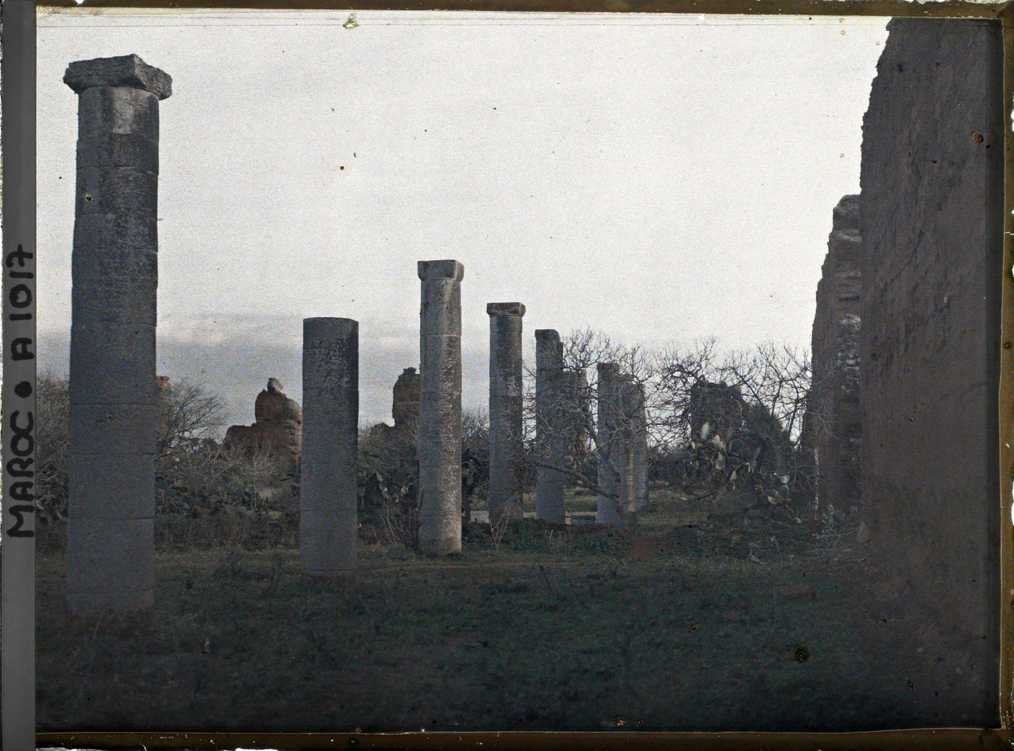 Image représentant Vestiges de colonnes de la mosquée Hassan