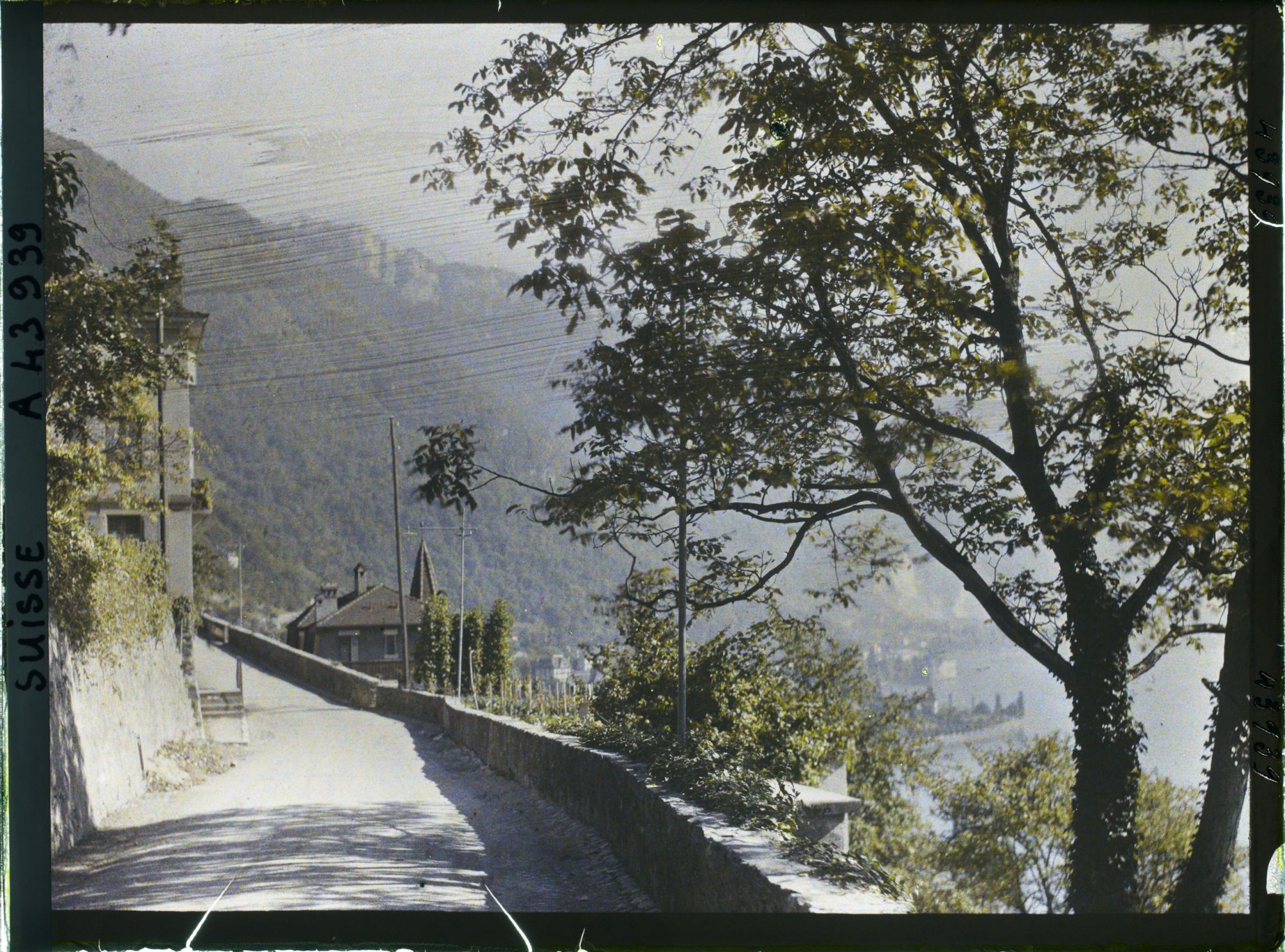 Image représentant La route de Glion et le Léman