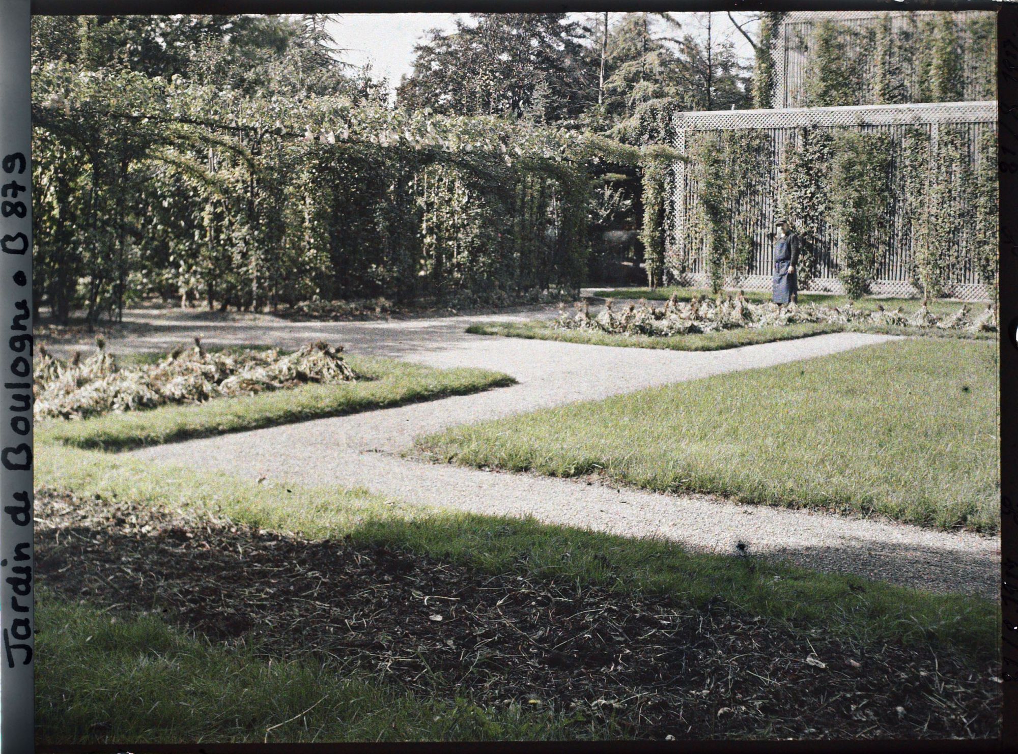 Image représentant Partie du jardin français proche du verger-roseraie, vue en direction de la serre