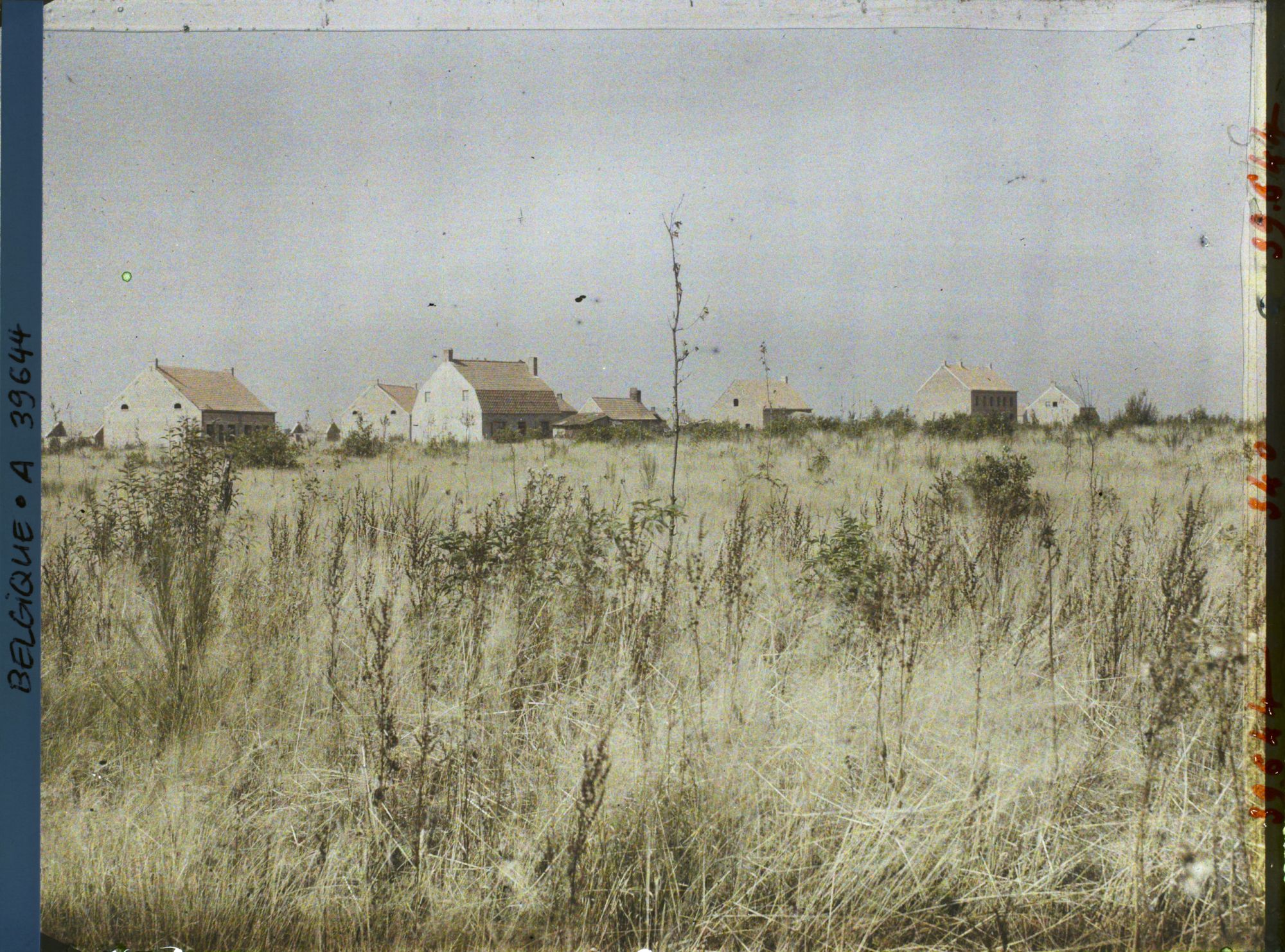 Image représentant Belgique, La côte 60, Maisons reconstruites à la Côte 60