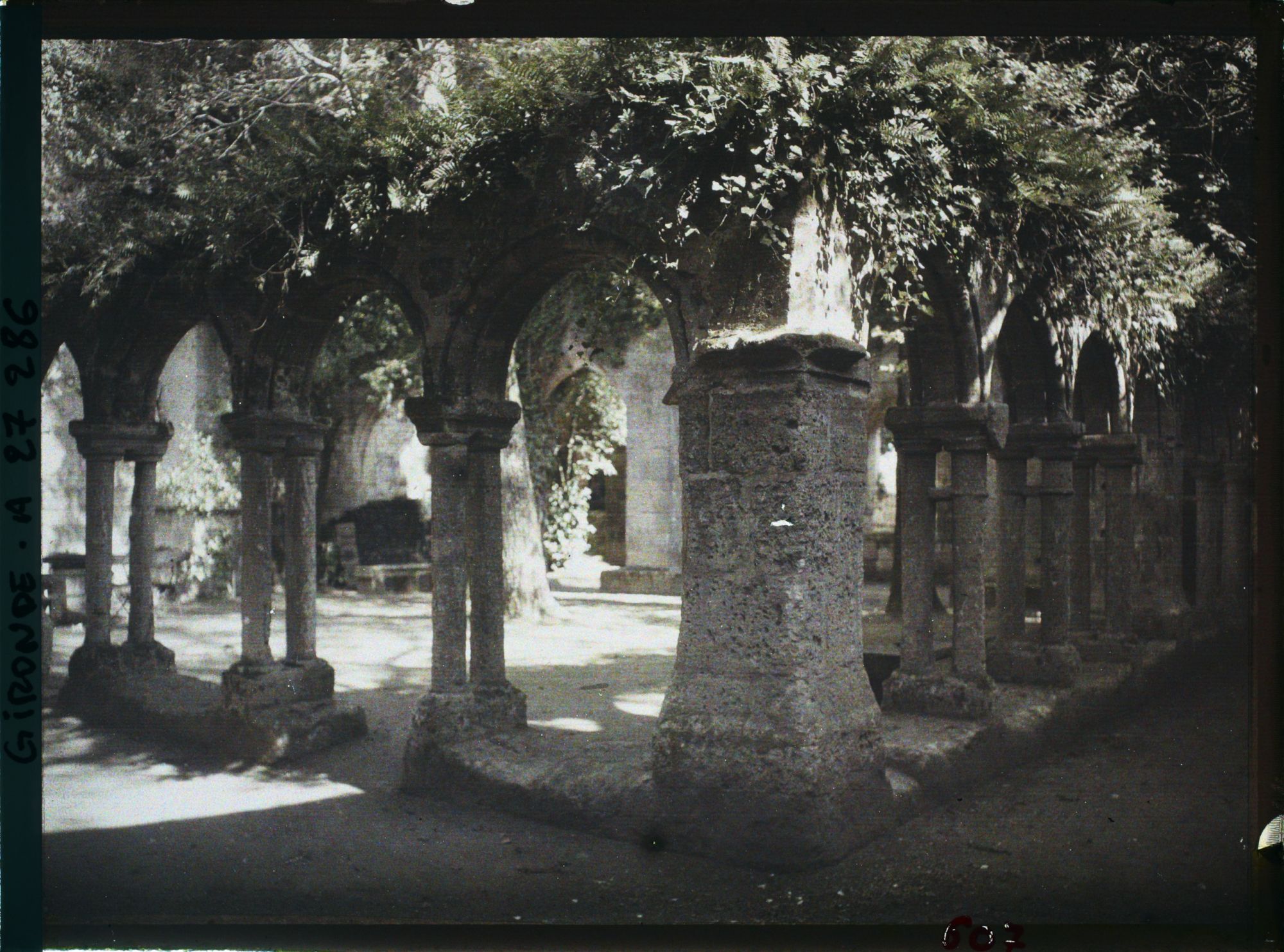 Image représentant St Emilion, Cloître des Cordeliers