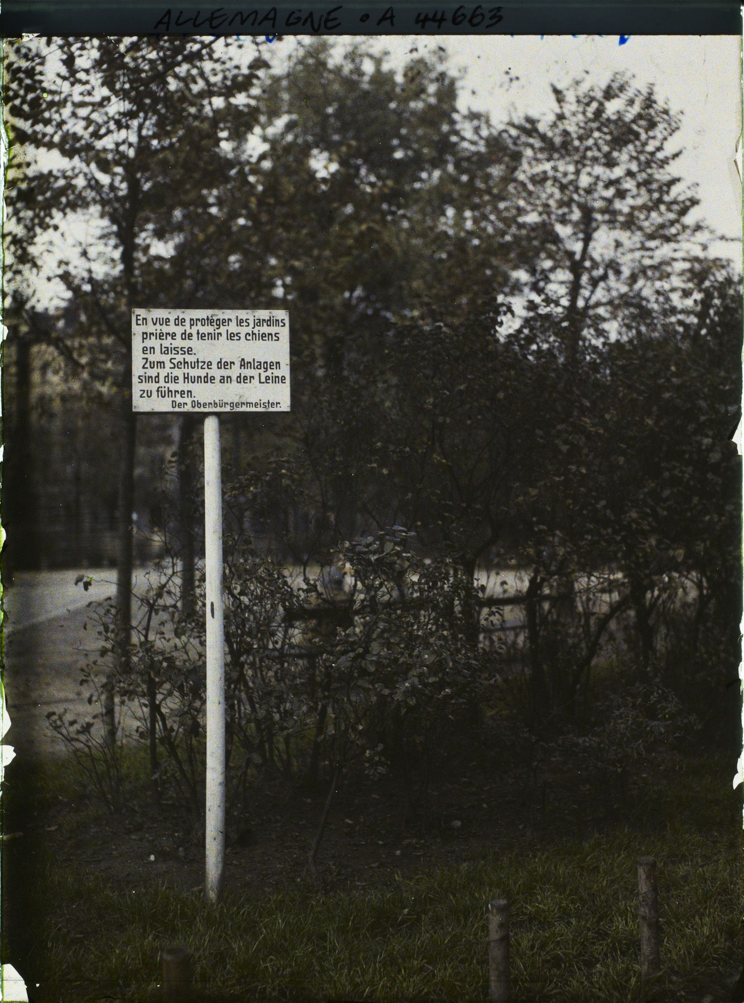 Image représentant Allemagne, Mayence, Inscription concernant les Jardins