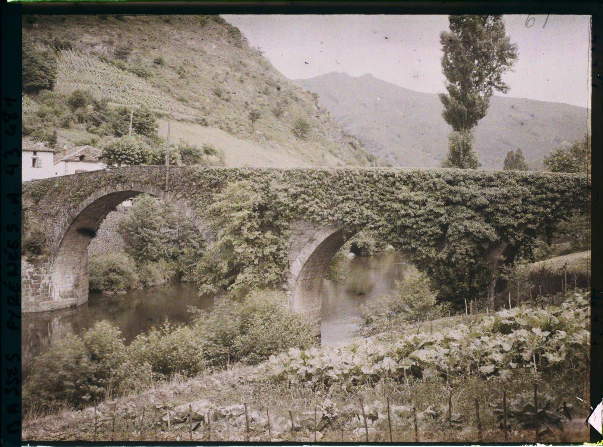 Image représentant France, Bidarray, Le Vieux pont de Bidarray (Pont d'Enfer)