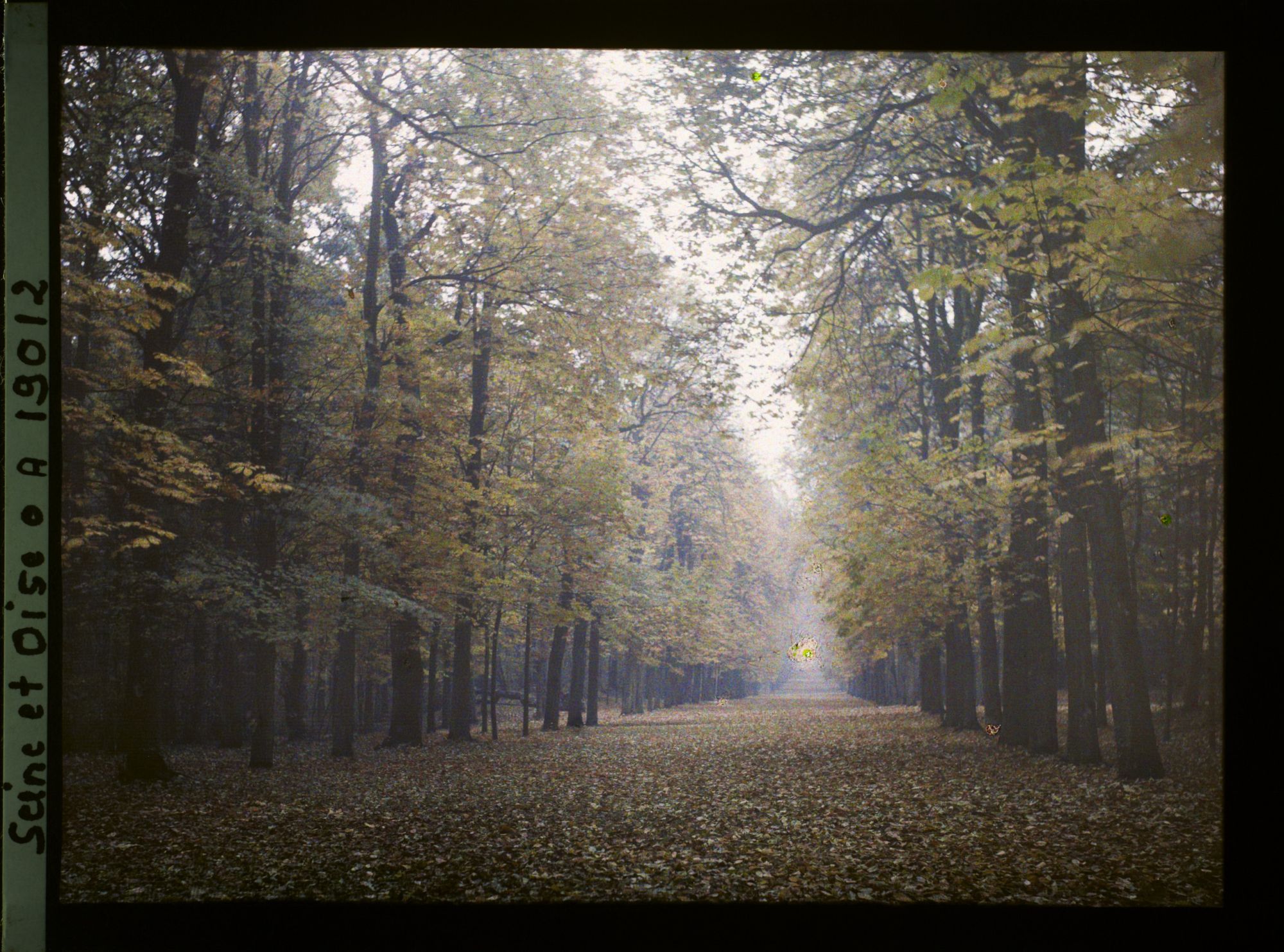 Image représentant L'allée de la Lanterne dans le parc