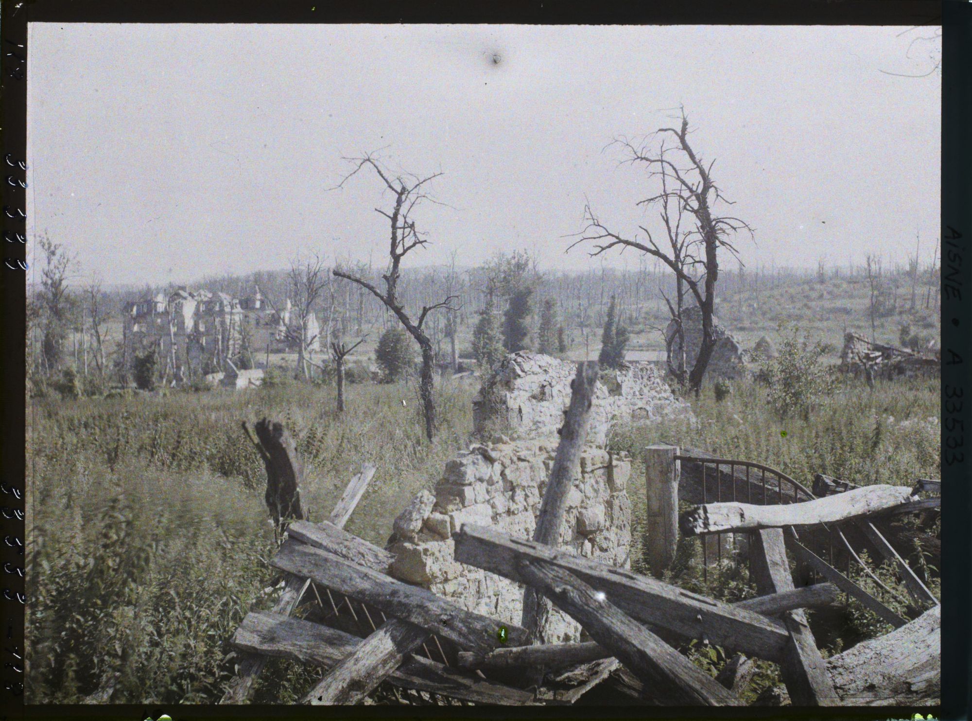 Image représentant France, Pinon, Ruines, arbres morts et le château de Pinon