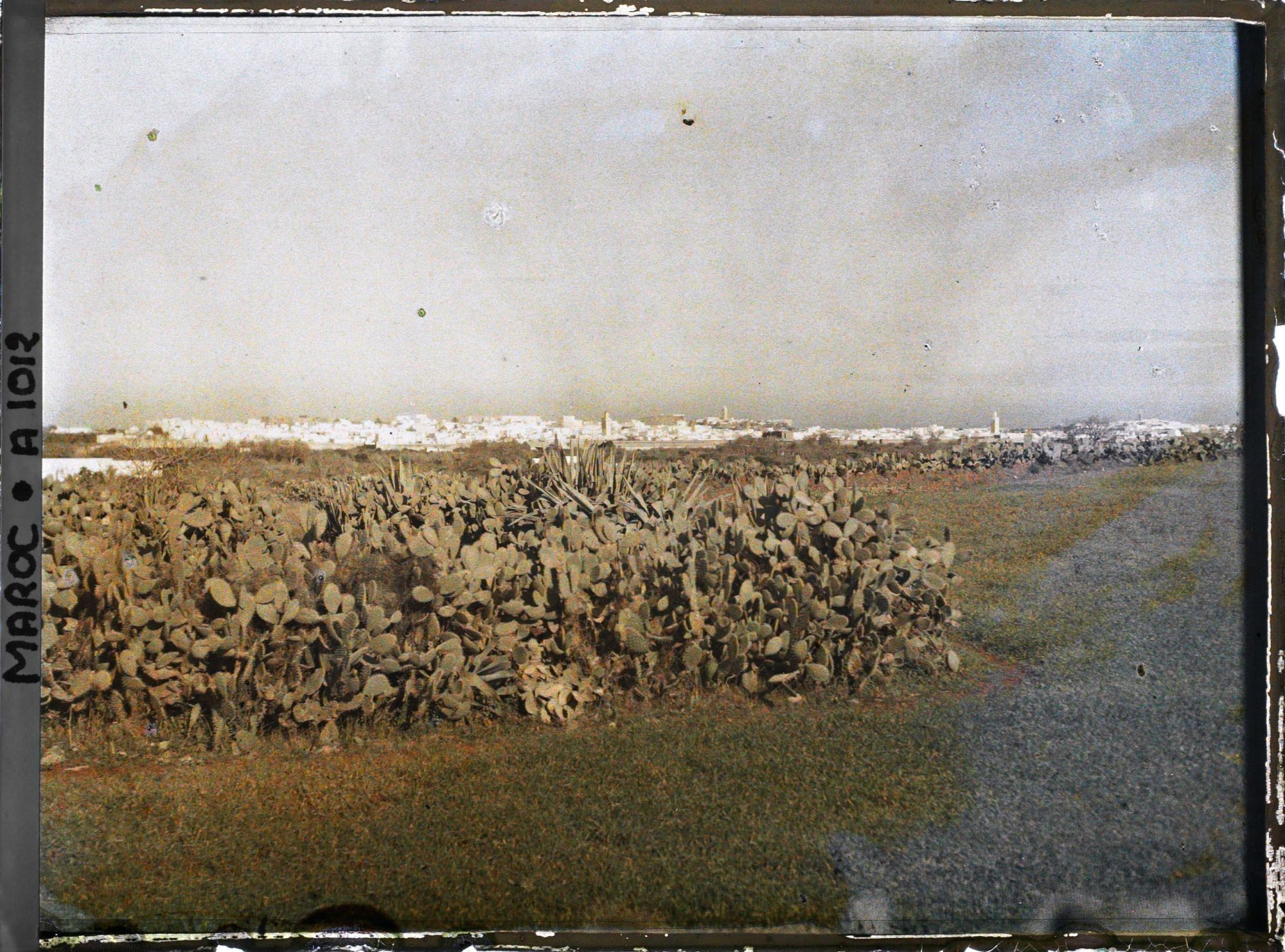 Image représentant Panorama de Rabat