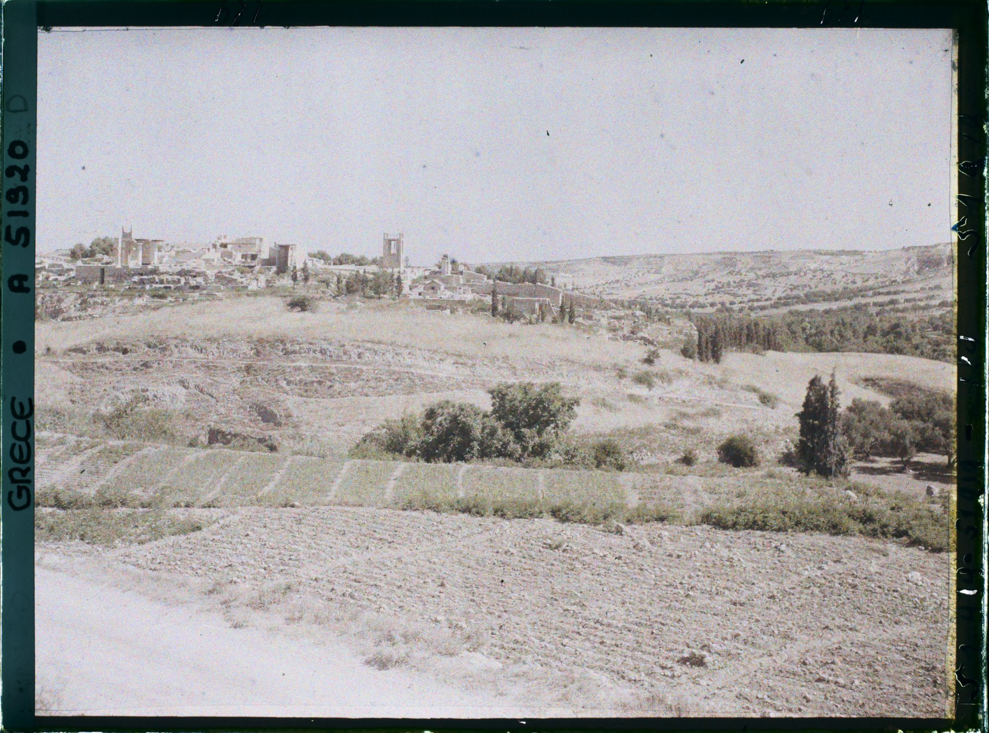 Image représentant Panorama vers l'ensemble des ruines du Palais
