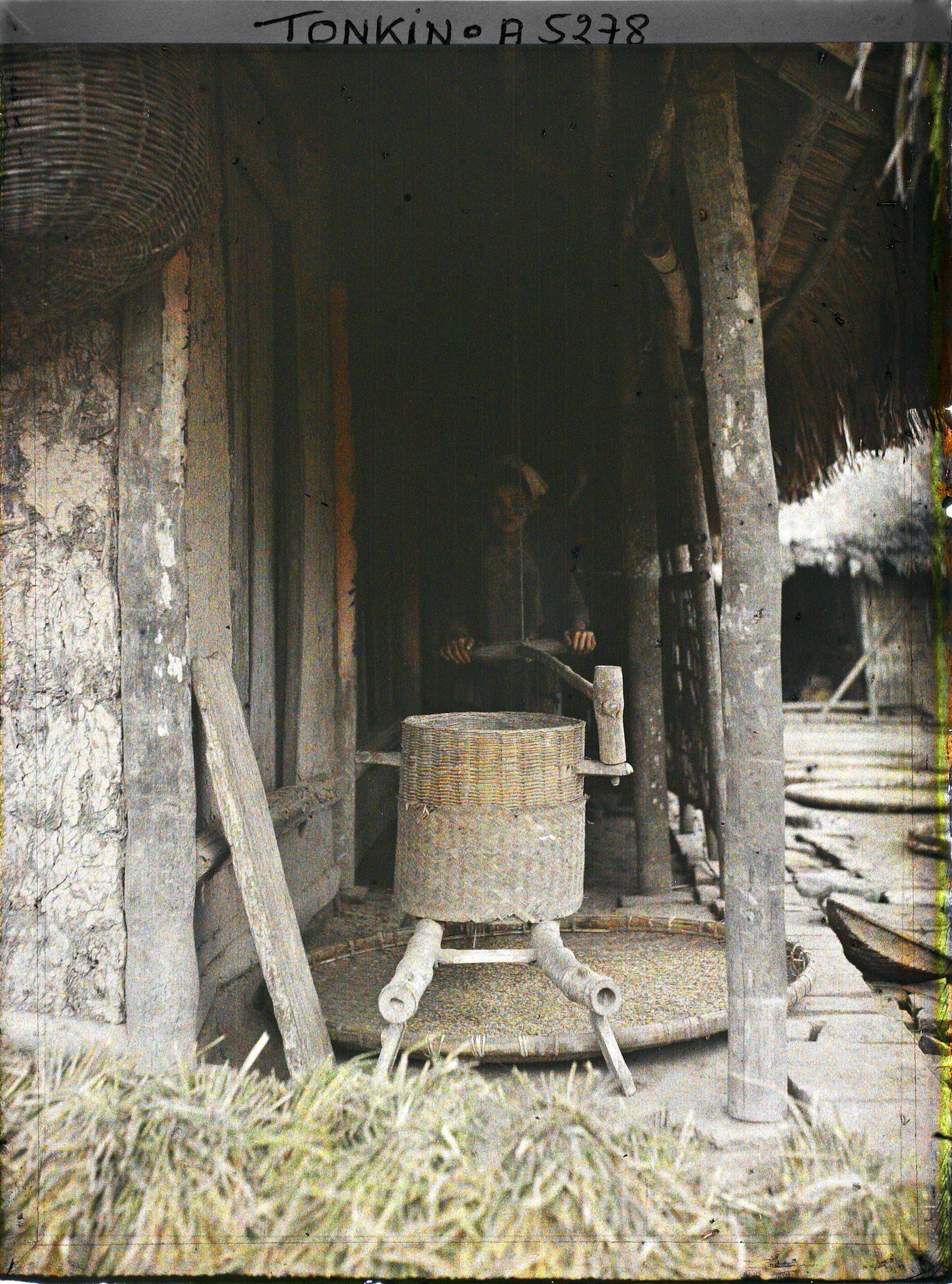 Image représentant Une jeune fille actionnant un moulin à décortiquer le paddy, dans une cour de ferme après la moisson du riz
