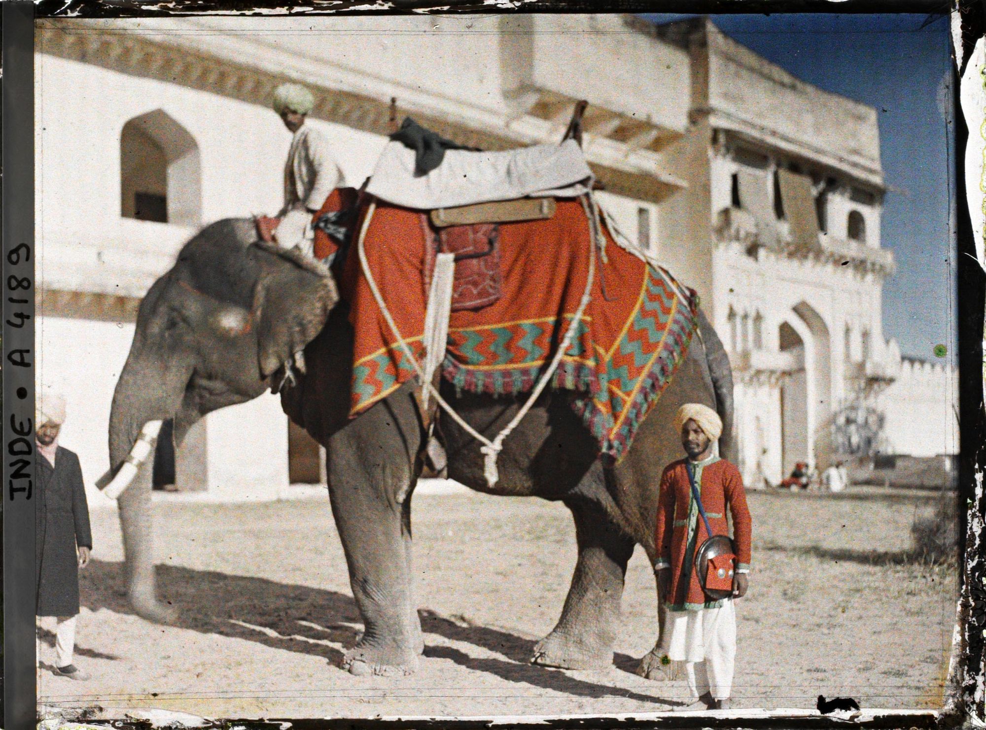 Image représentant Un éléphant (sur l'esplanade du palais?)