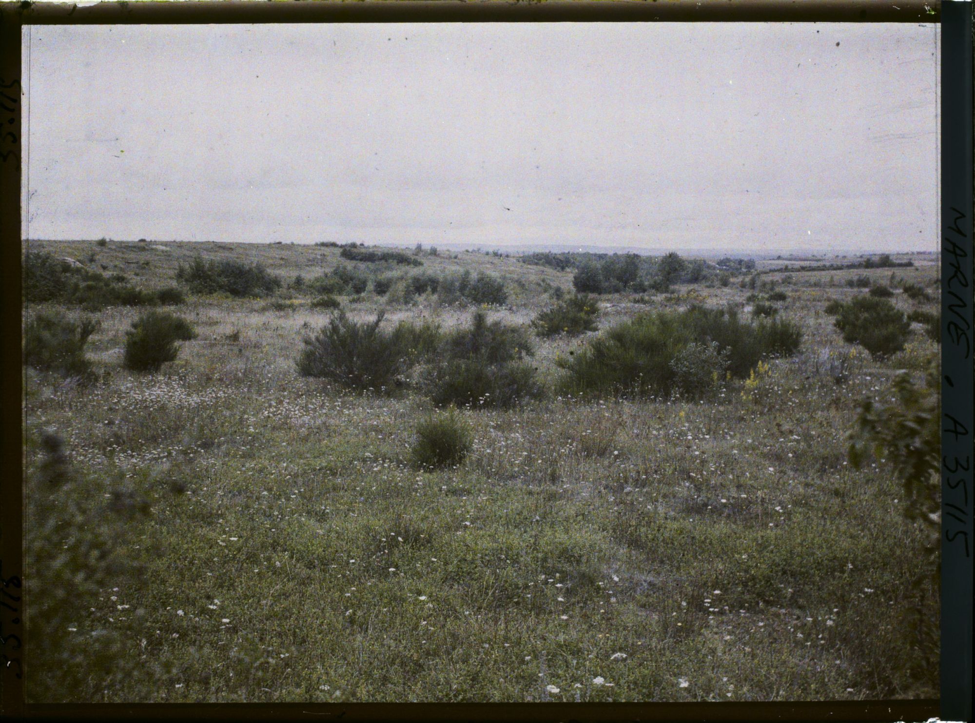 Image représentant France, Binarville (Meuse), Zone de combat secteur Français, à l'horizon, les hauteurs de Champagne