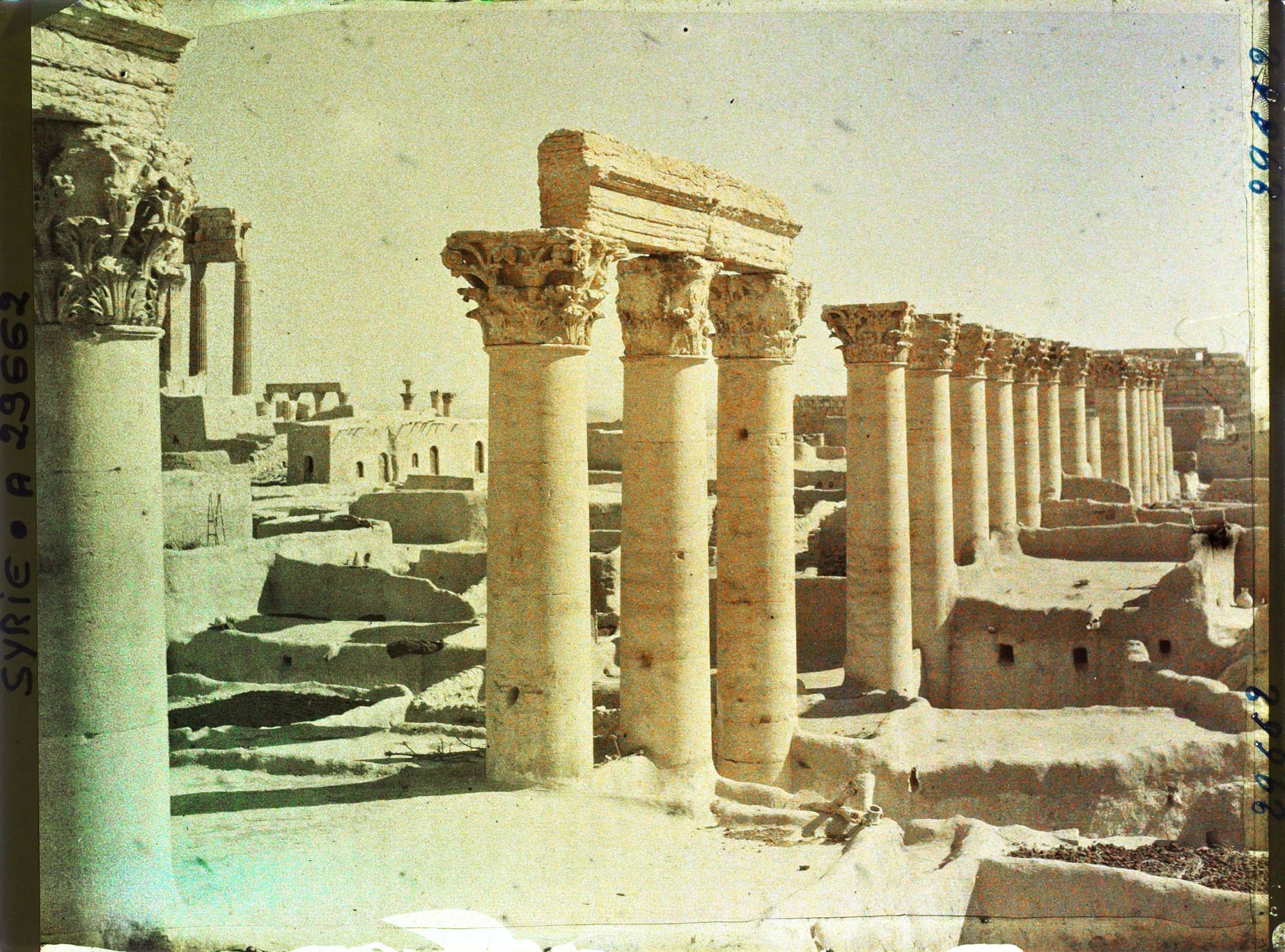Image représentant Vestiges de colonnes sur l'esplanade du Temple de Bêl